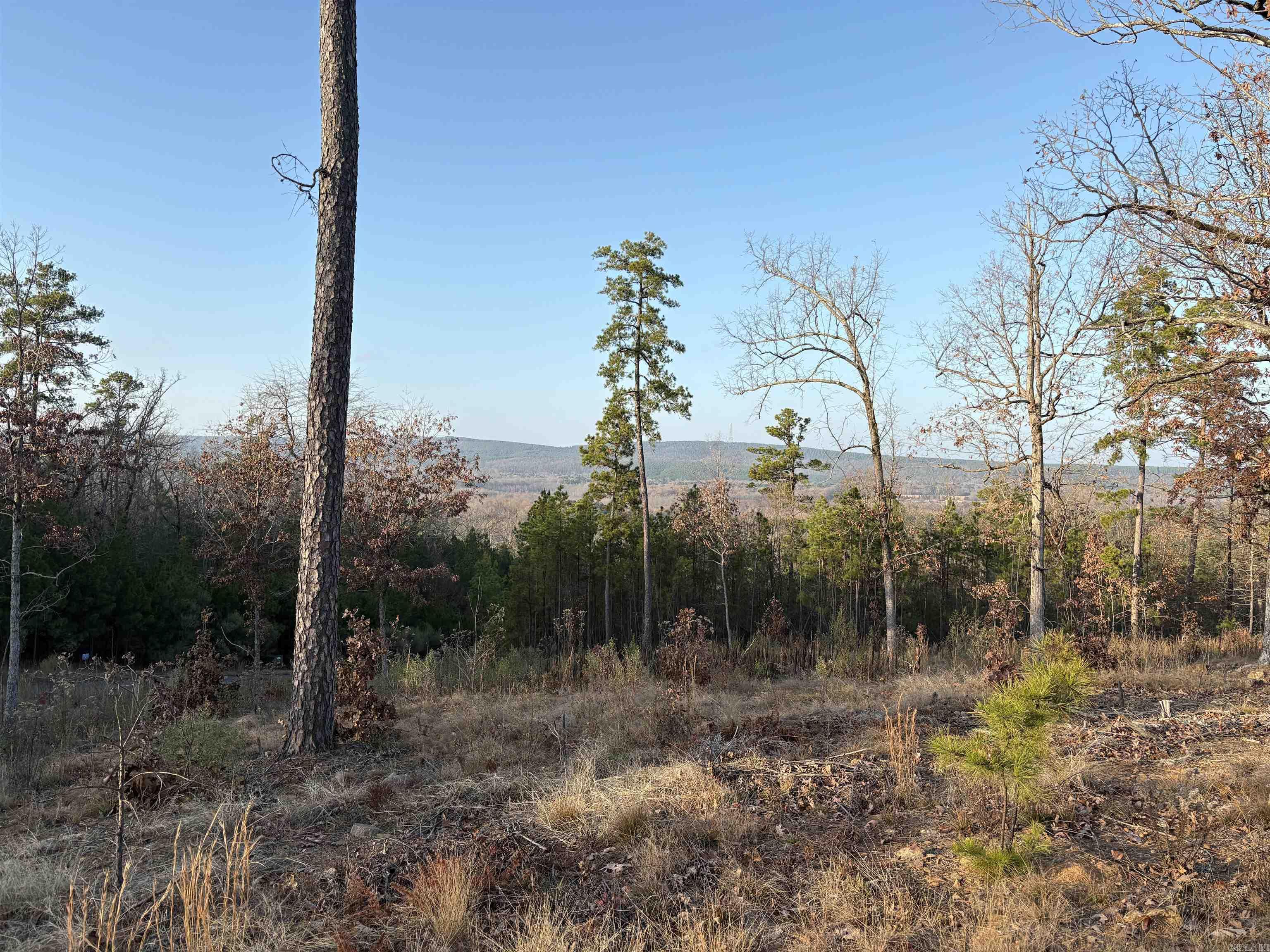 21216 Valley View Cove Property Photo 4