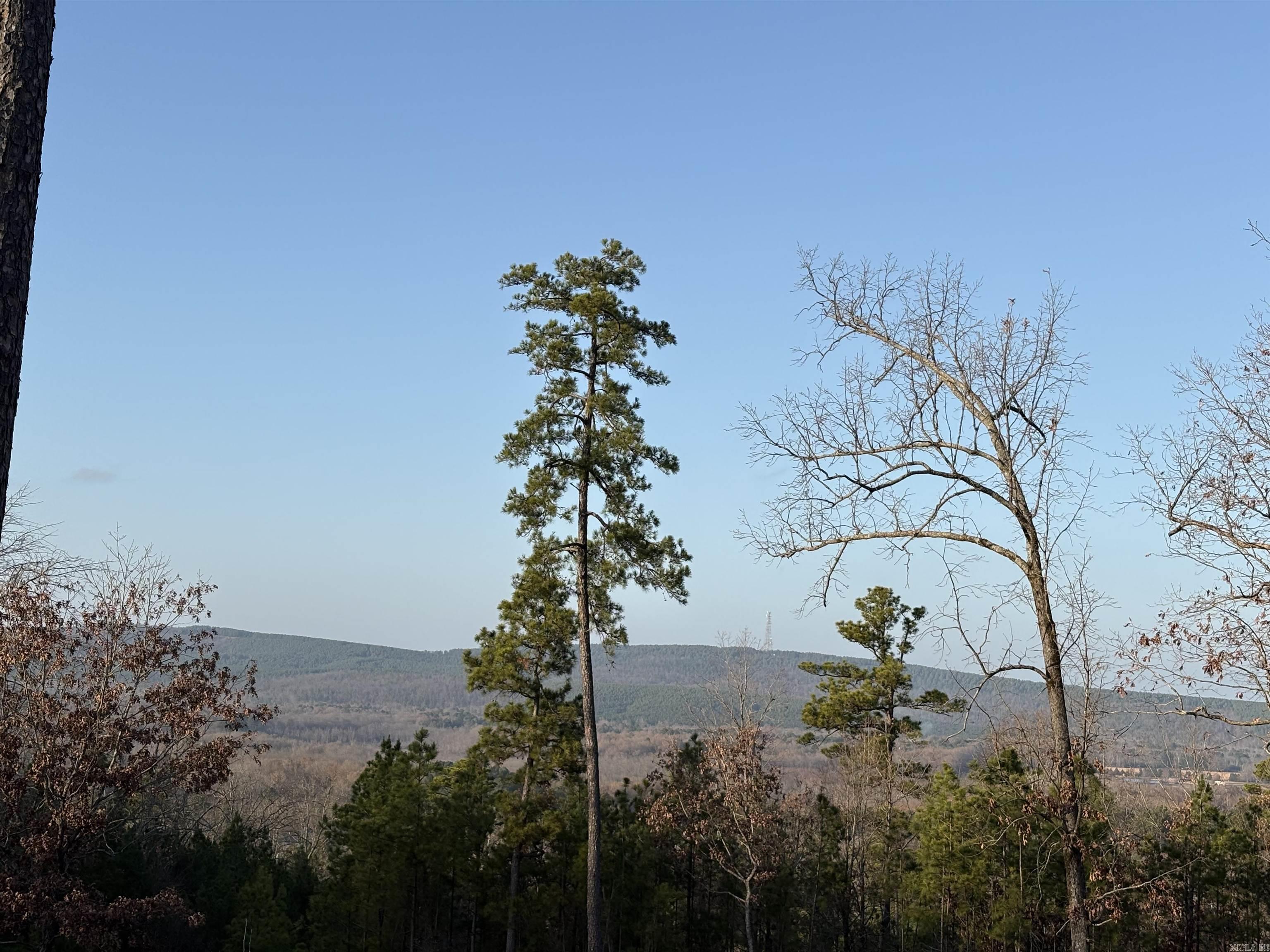 21216 Valley View Cove Property Photo 5