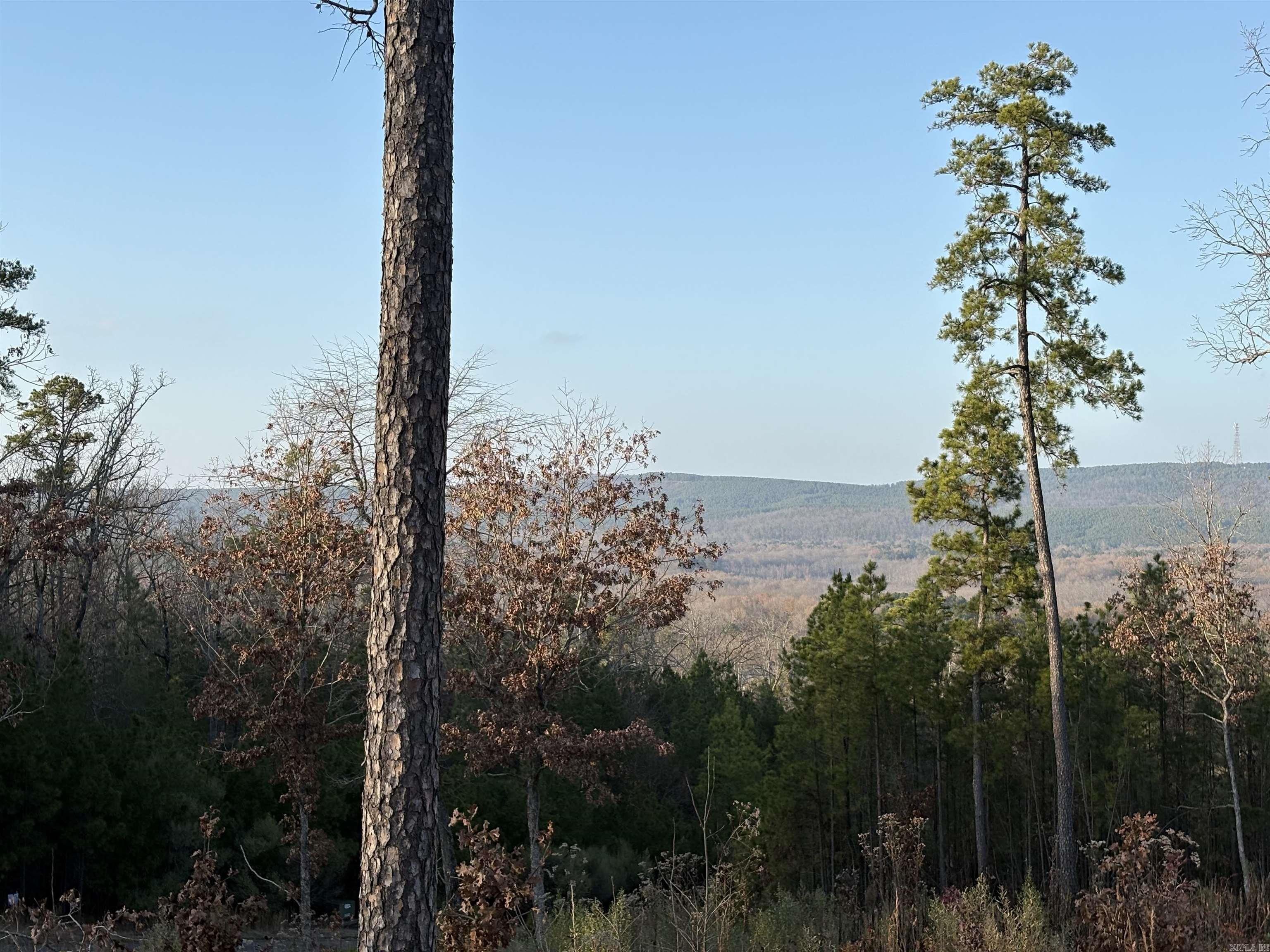 21216 Valley View Cove Property Photo 6