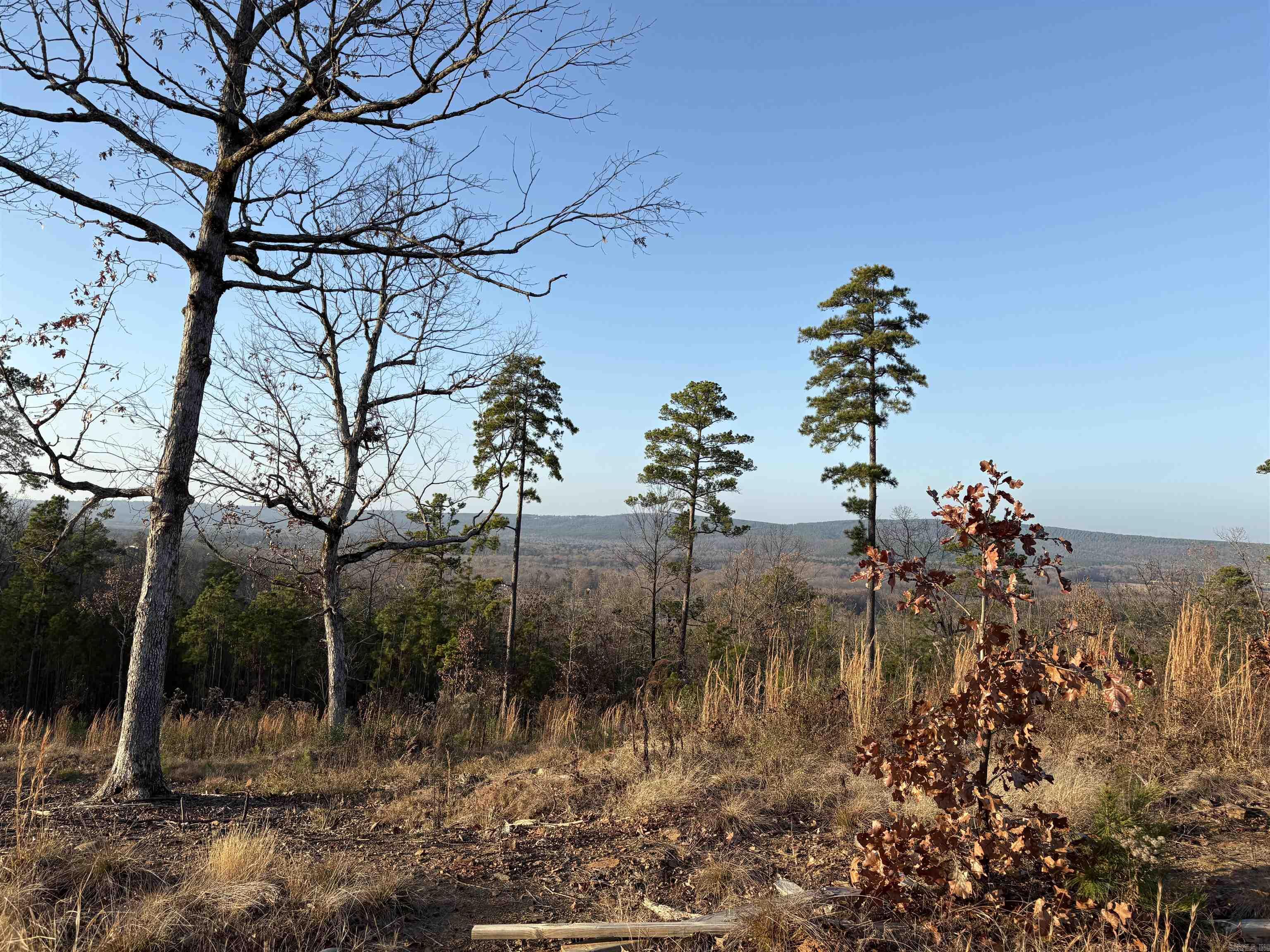 21216 Valley View Cove Property Photo 7