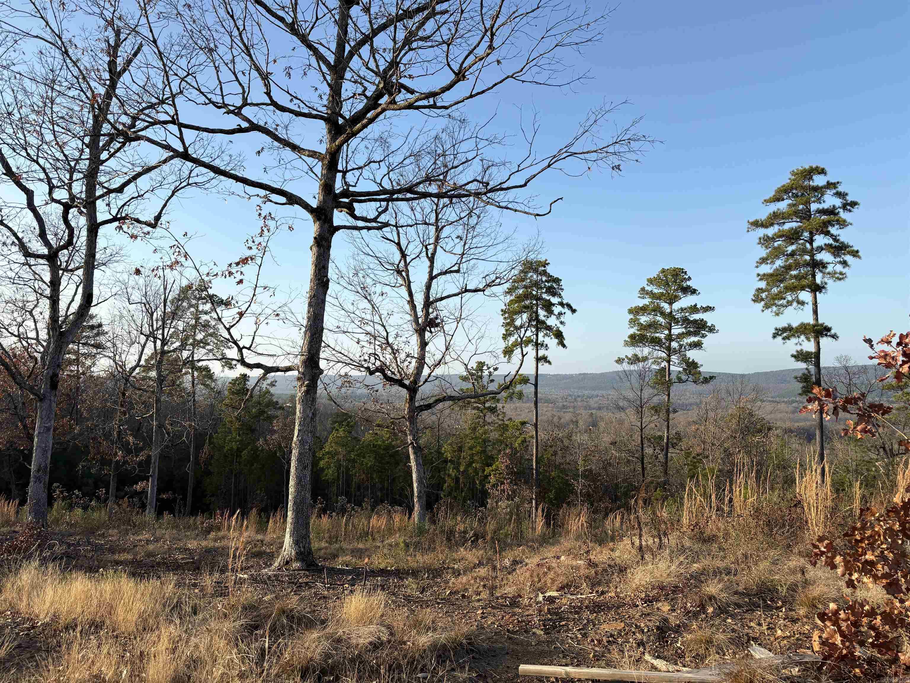 21216 Valley View Cove Property Photo 8