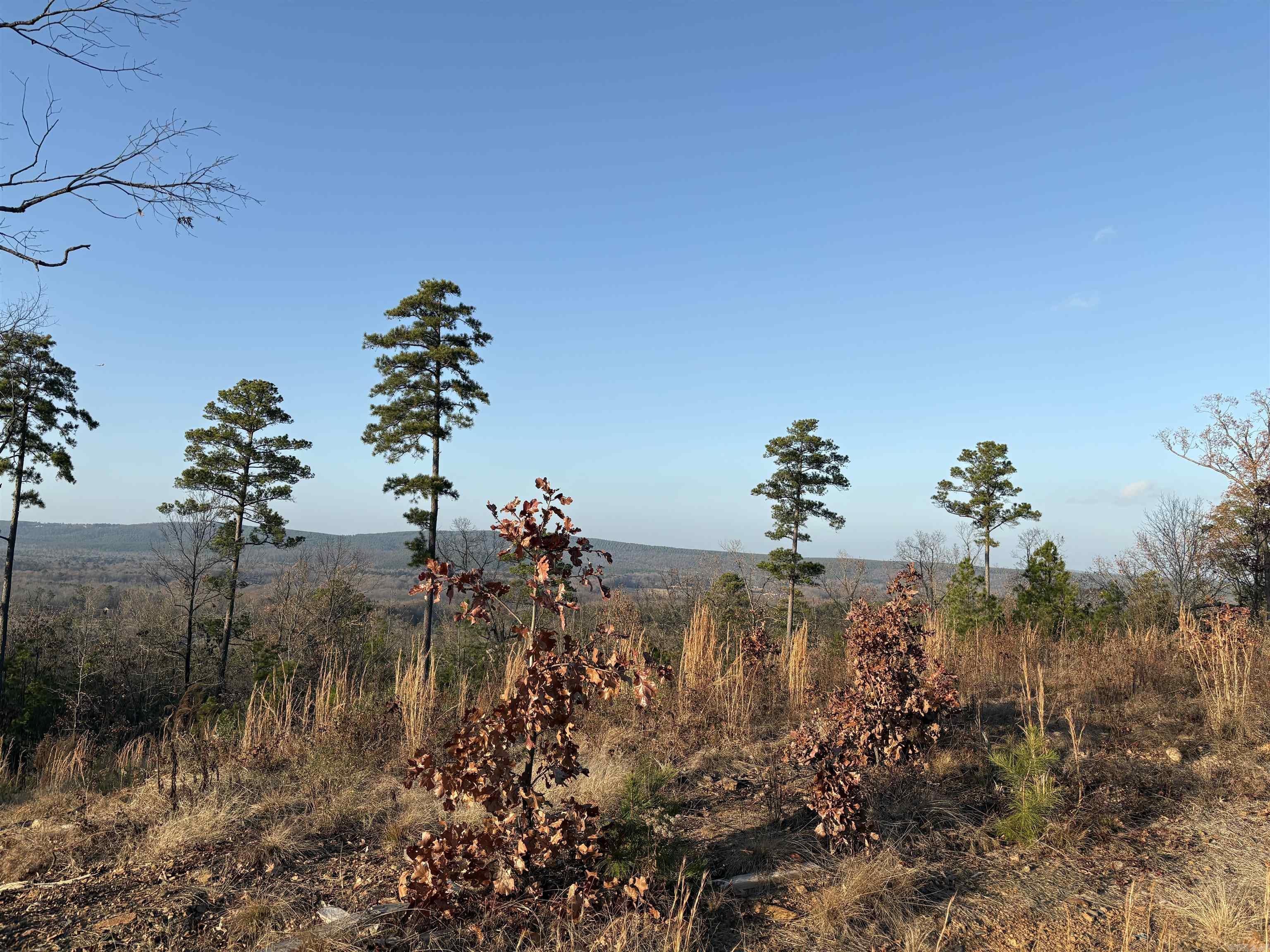 21216 Valley View Cove Property Photo 9