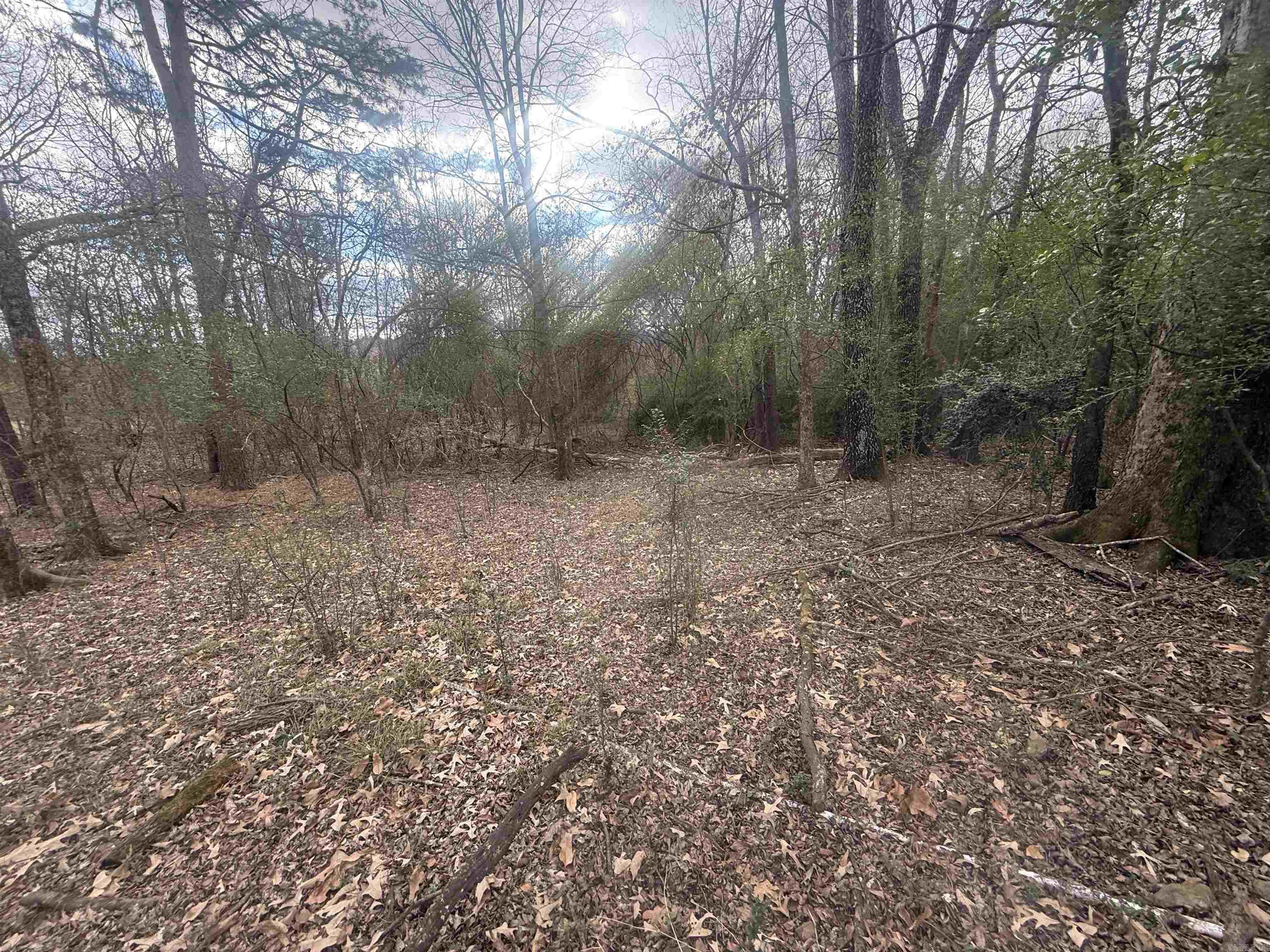 Tbd Arlington Drive Property Photo 4