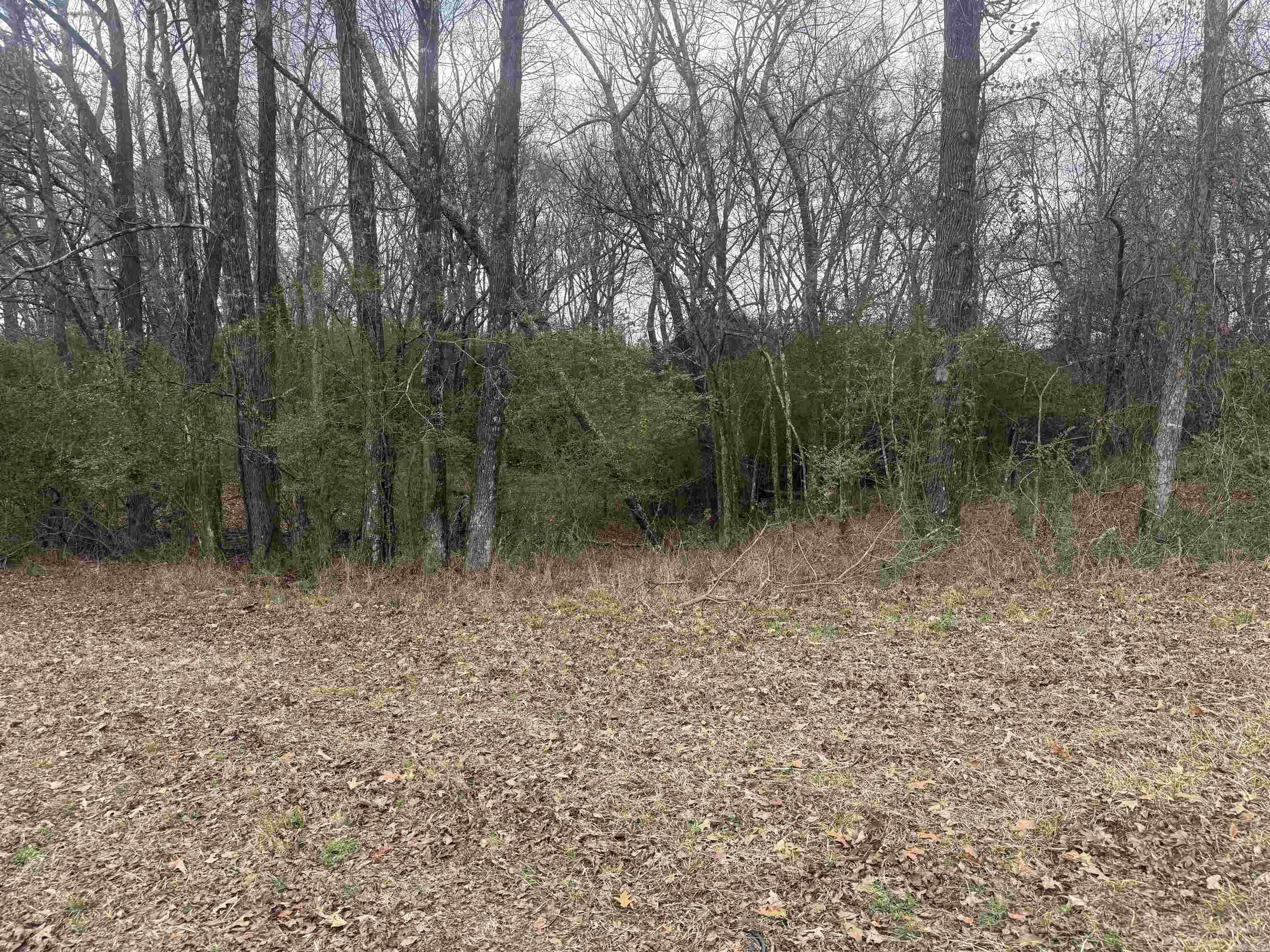Tbd Arlington Drive Property Photo 5