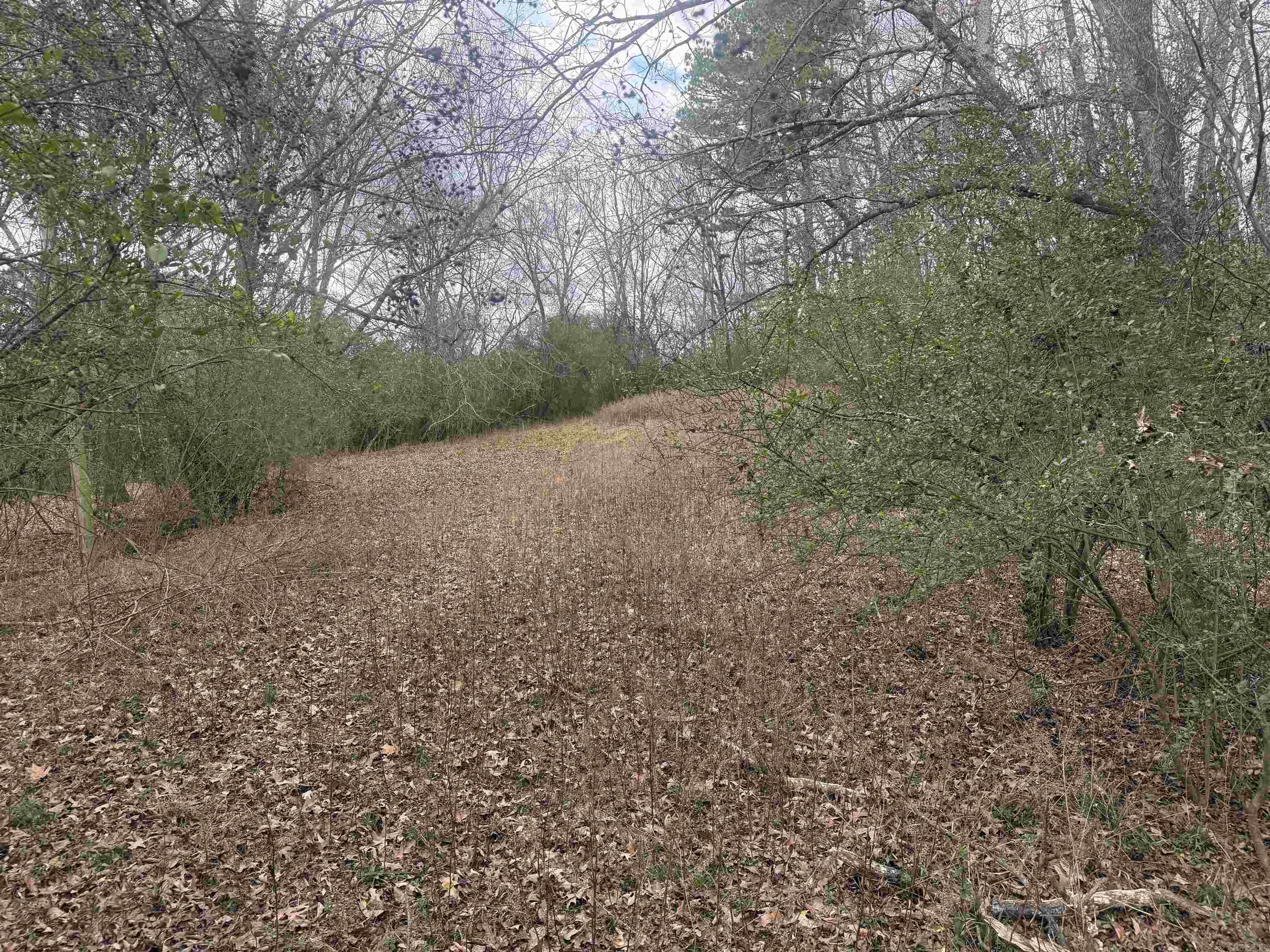 Tbd Arlington Drive Property Photo 6