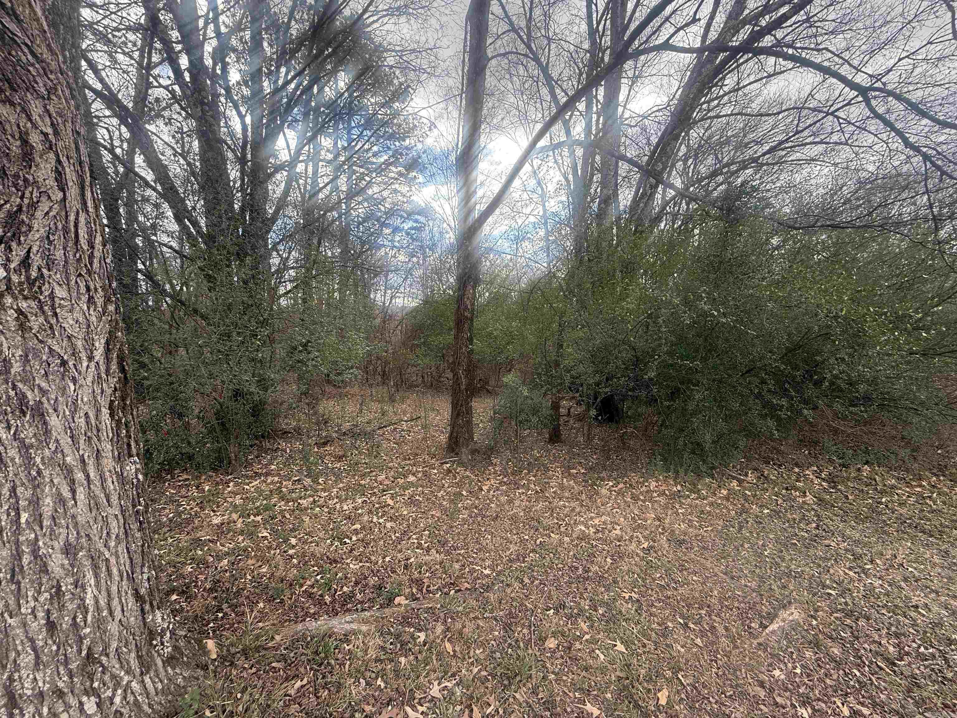 Tbd Arlington Drive Property Photo 7