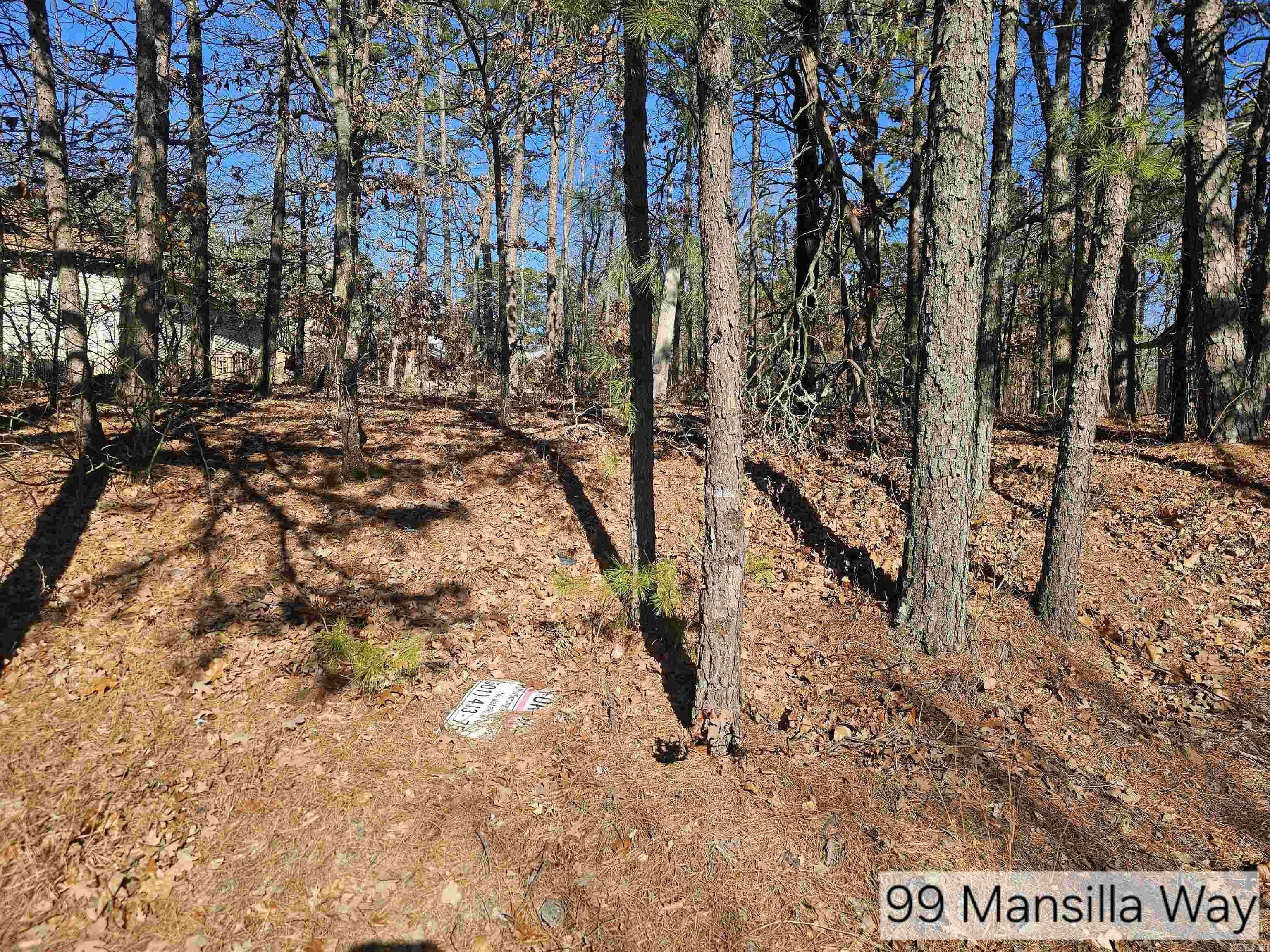99 Mansilla Way Way Property Photo 1