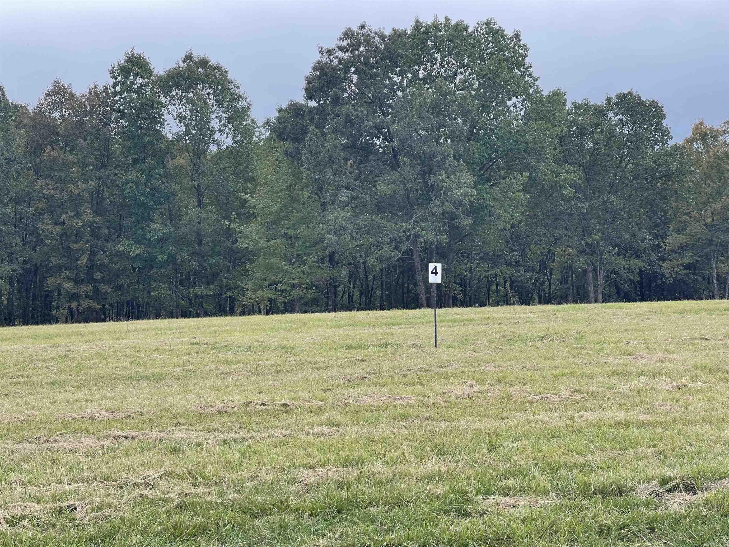 Lot 4 Hudson Pointe Property Photo 2