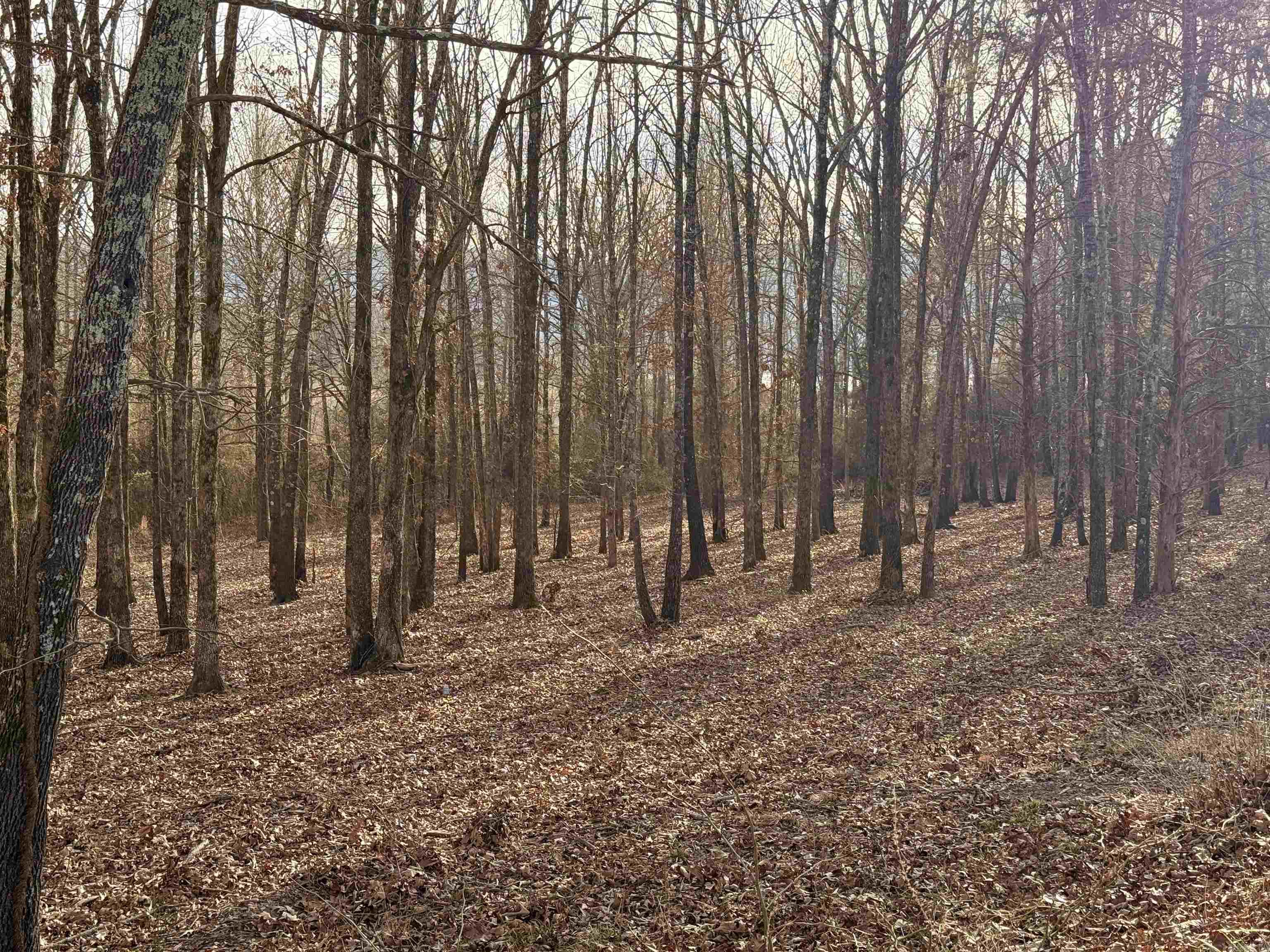 Lot 4 Hudson Pointe Property Photo 8
