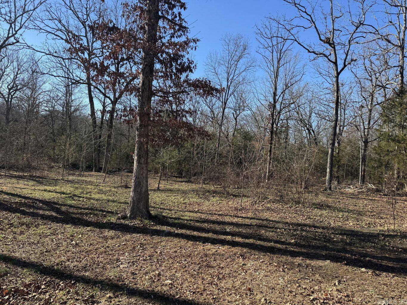 1209 Hawk Drive Property Photo 29
