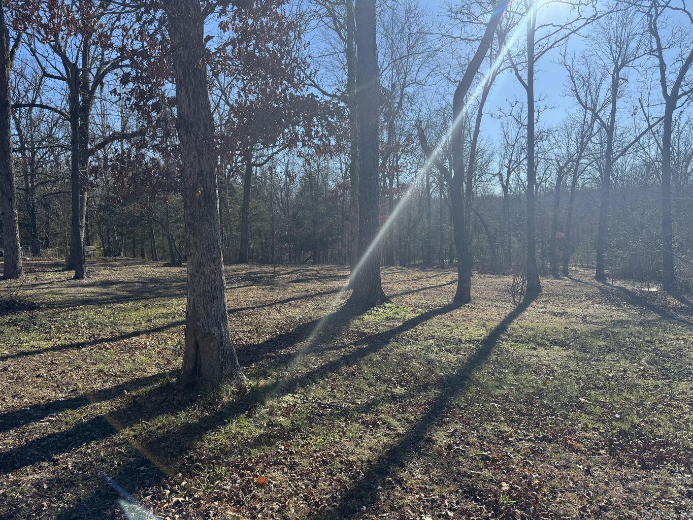 1209 Hawk Drive Property Photo 32
