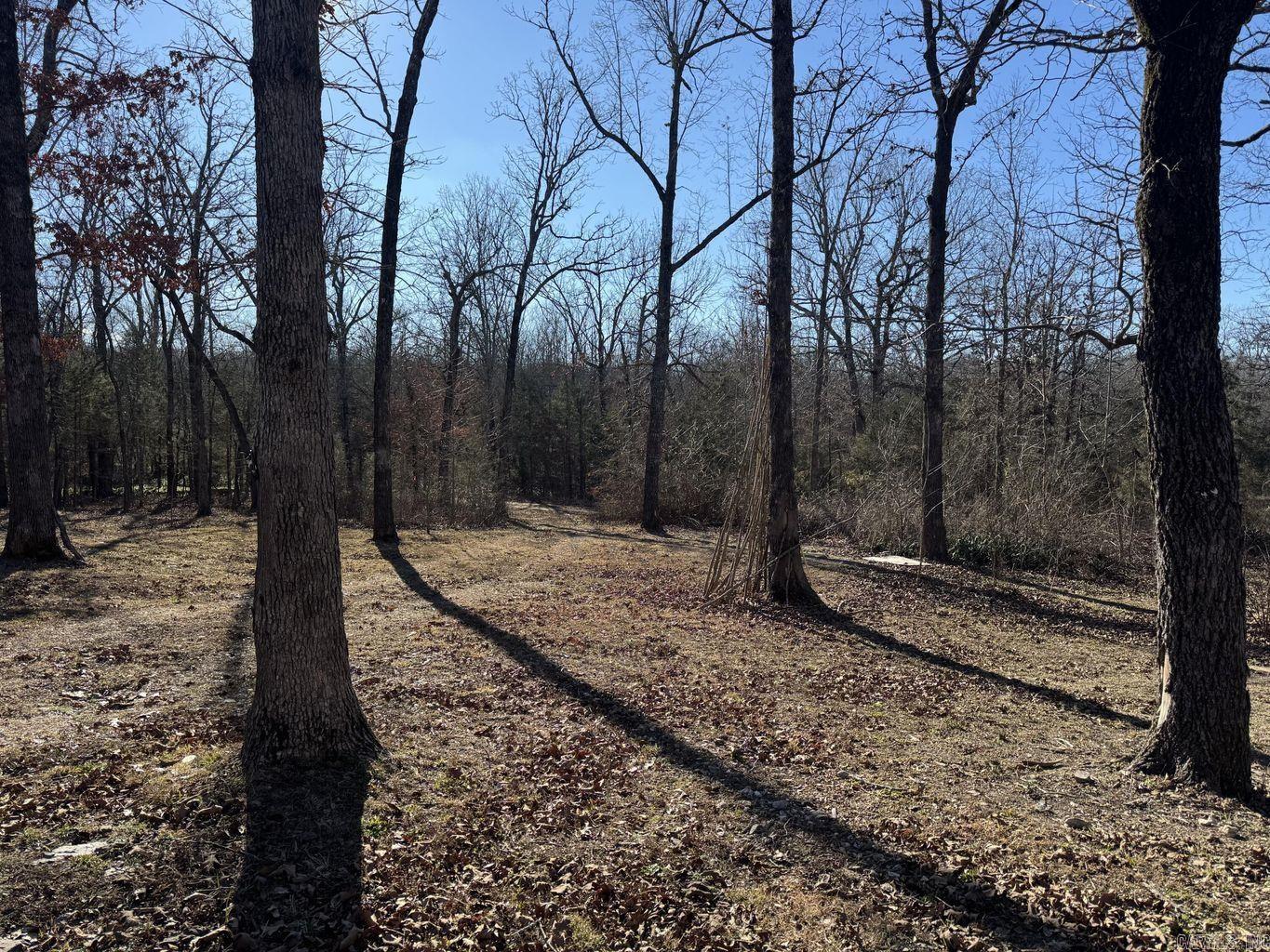 1209 Hawk Drive Property Photo 33