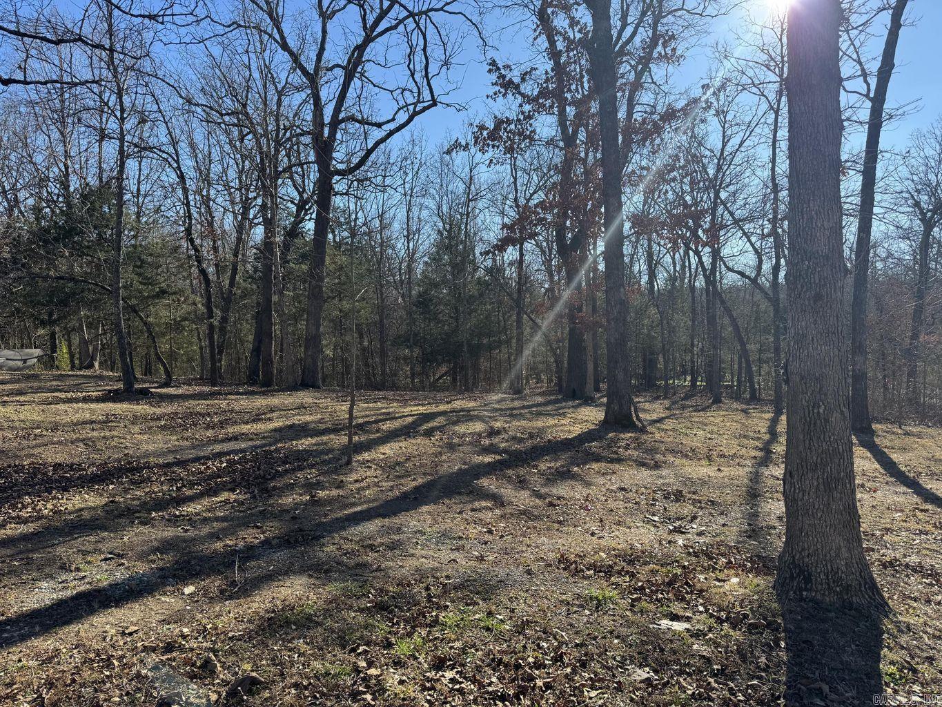 1209 Hawk Drive Property Photo 34