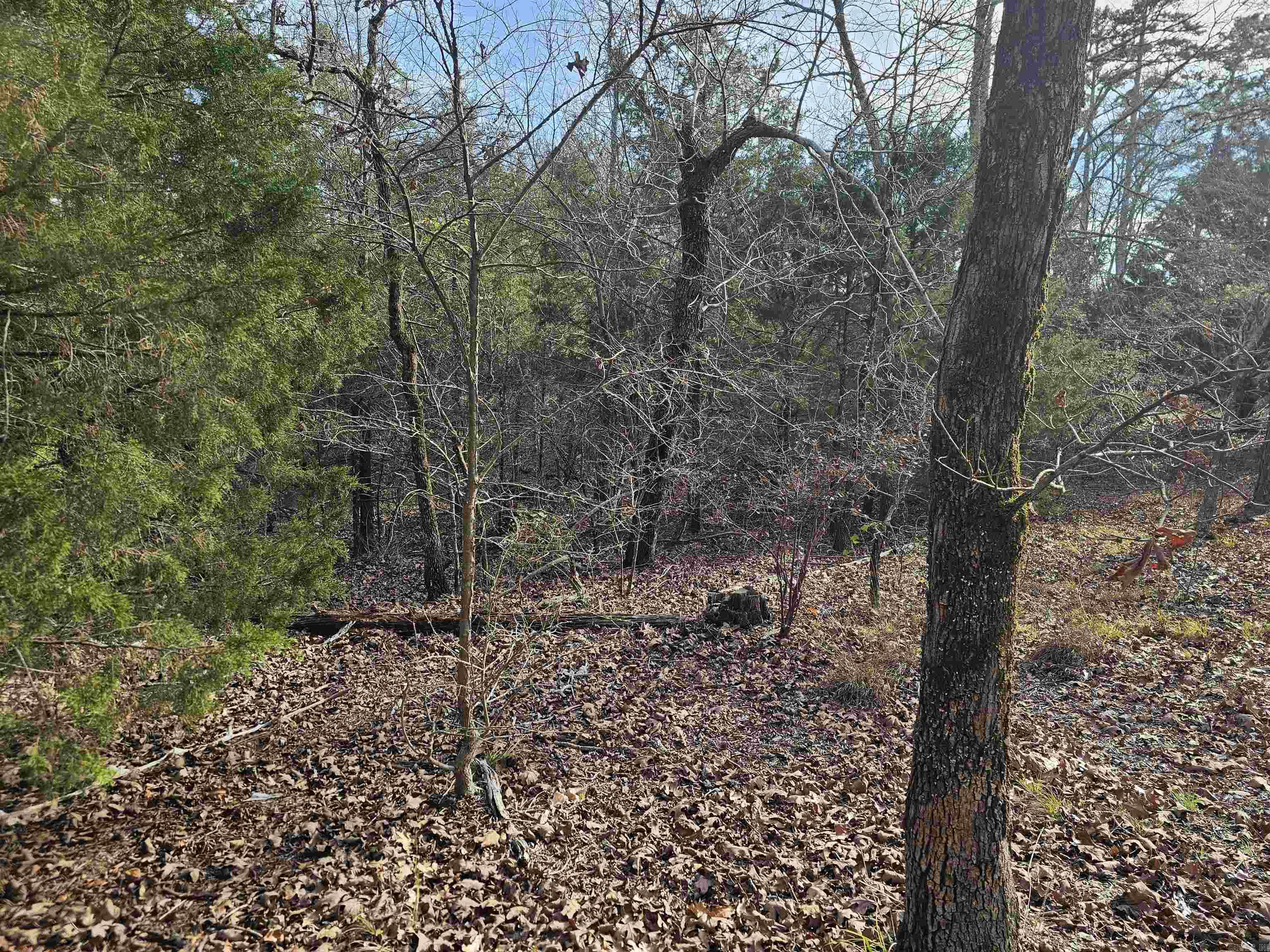46 Jubileo Way Property Photo 3
