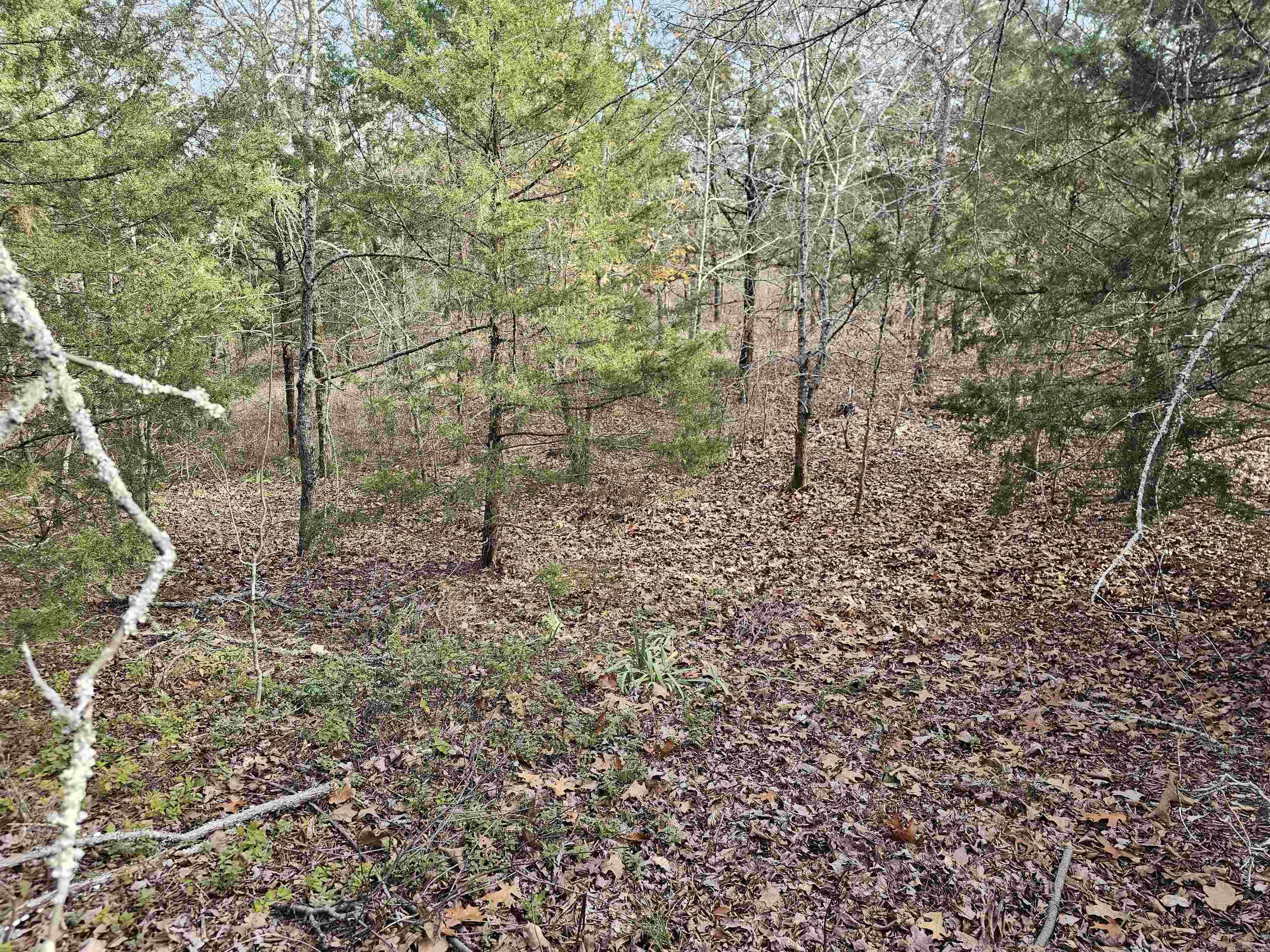 46 Jubileo Way Property Photo 4