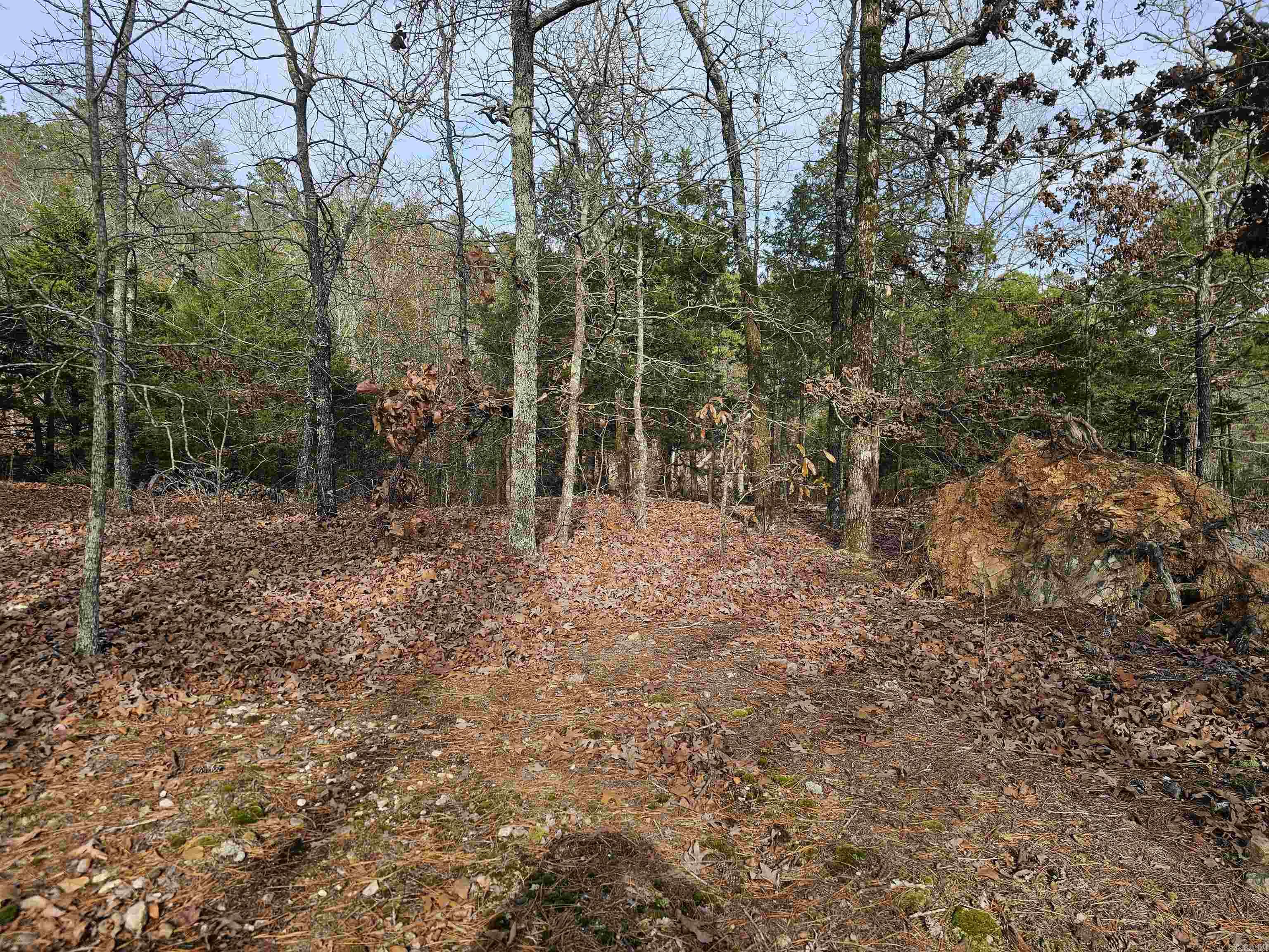 46 Jubileo Way Property Photo 5