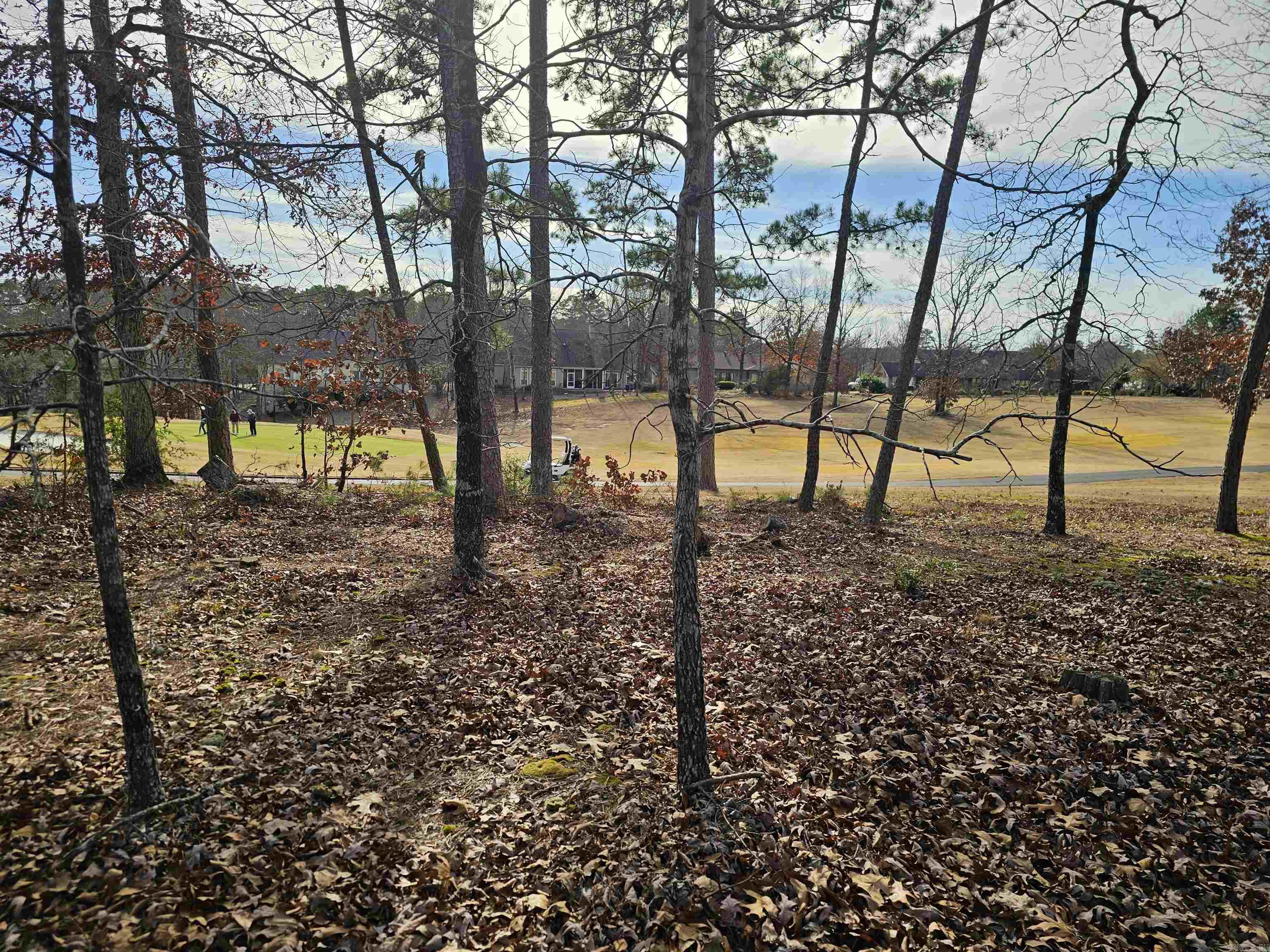 46 Jubileo Way Property Photo 6