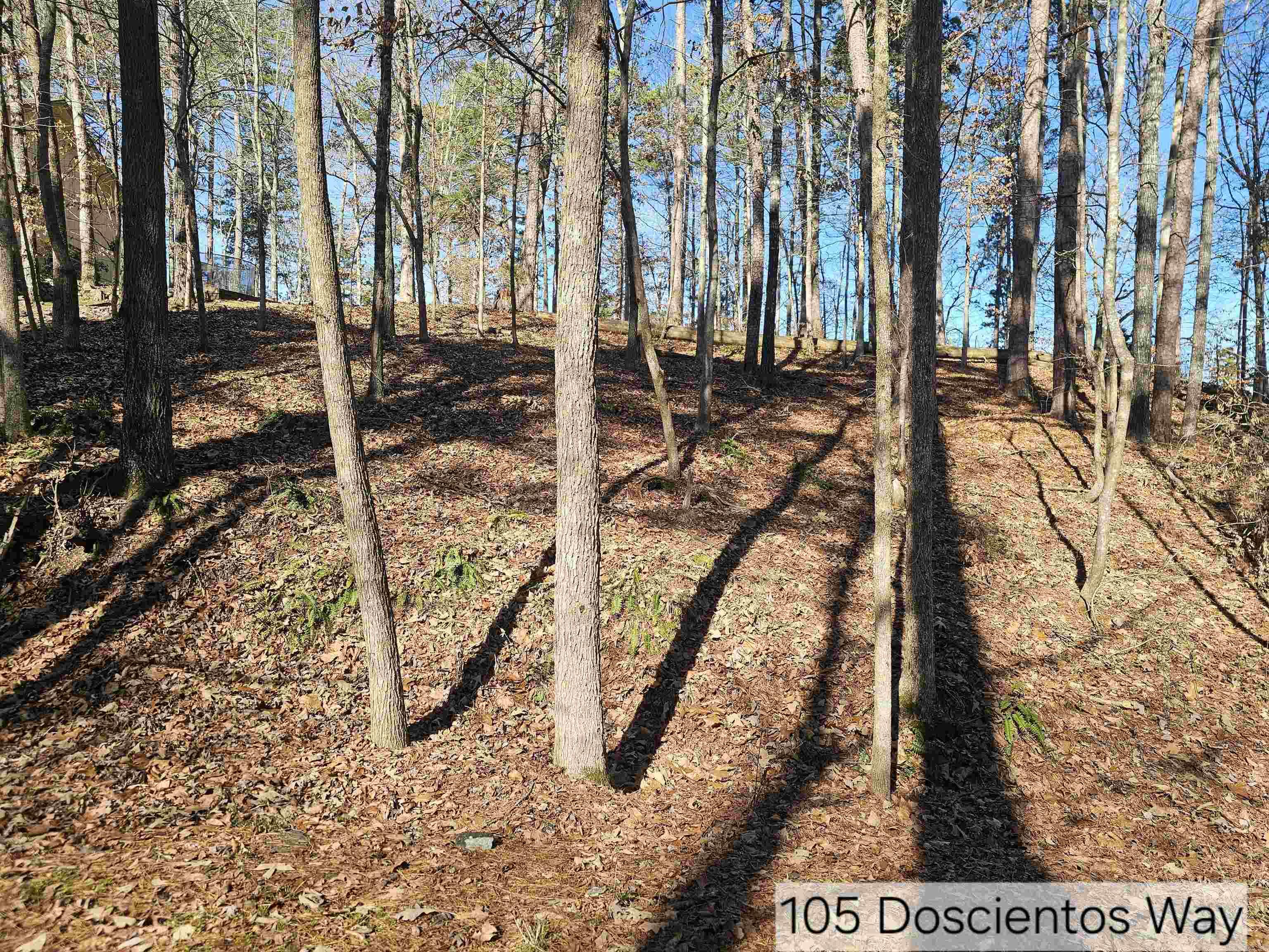 105 Doscientos Way Property Photo 1