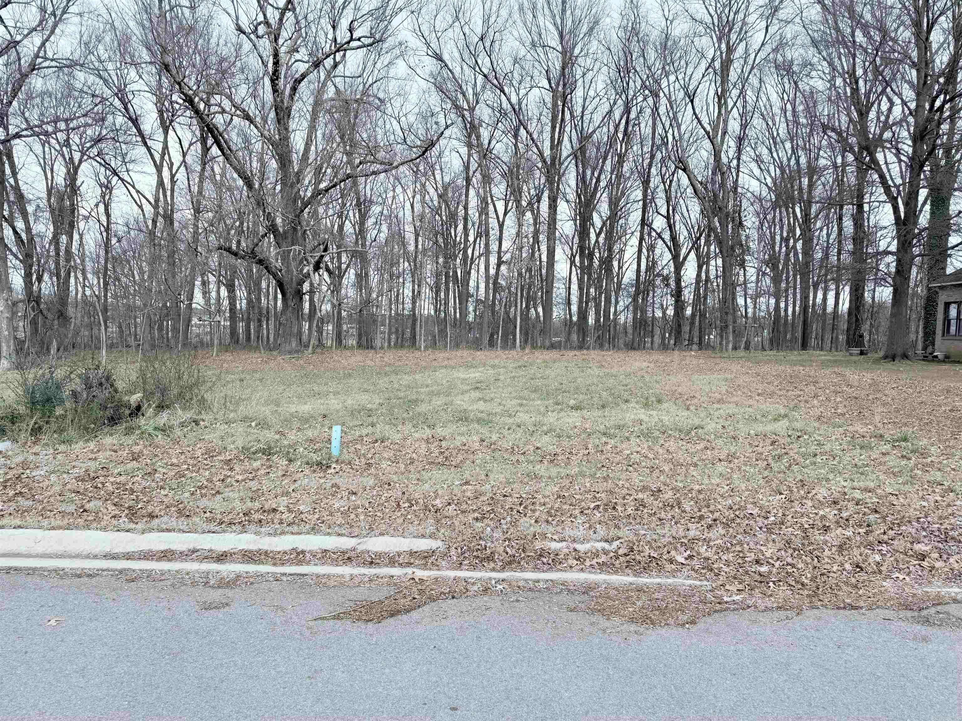 1706 Roleson Lane Property Photo 1