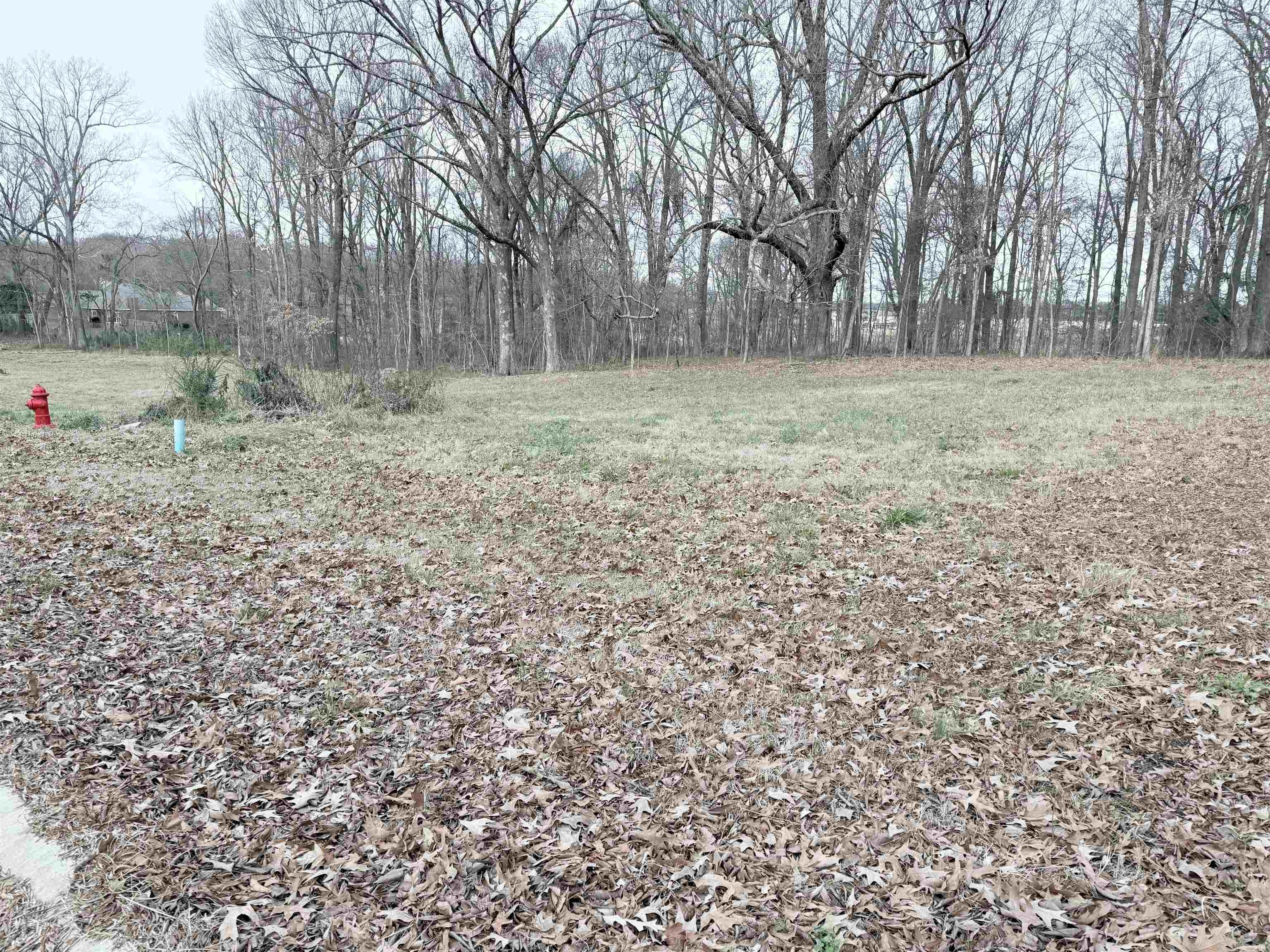 1706 Roleson Lane Property Photo 2