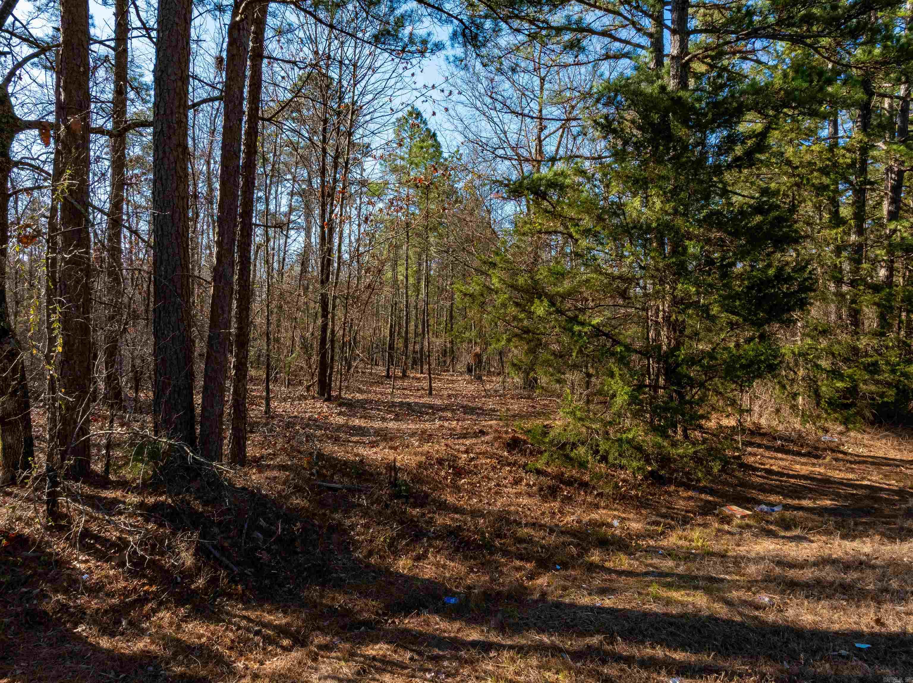 0 Edgemont Rd Property Photo 2
