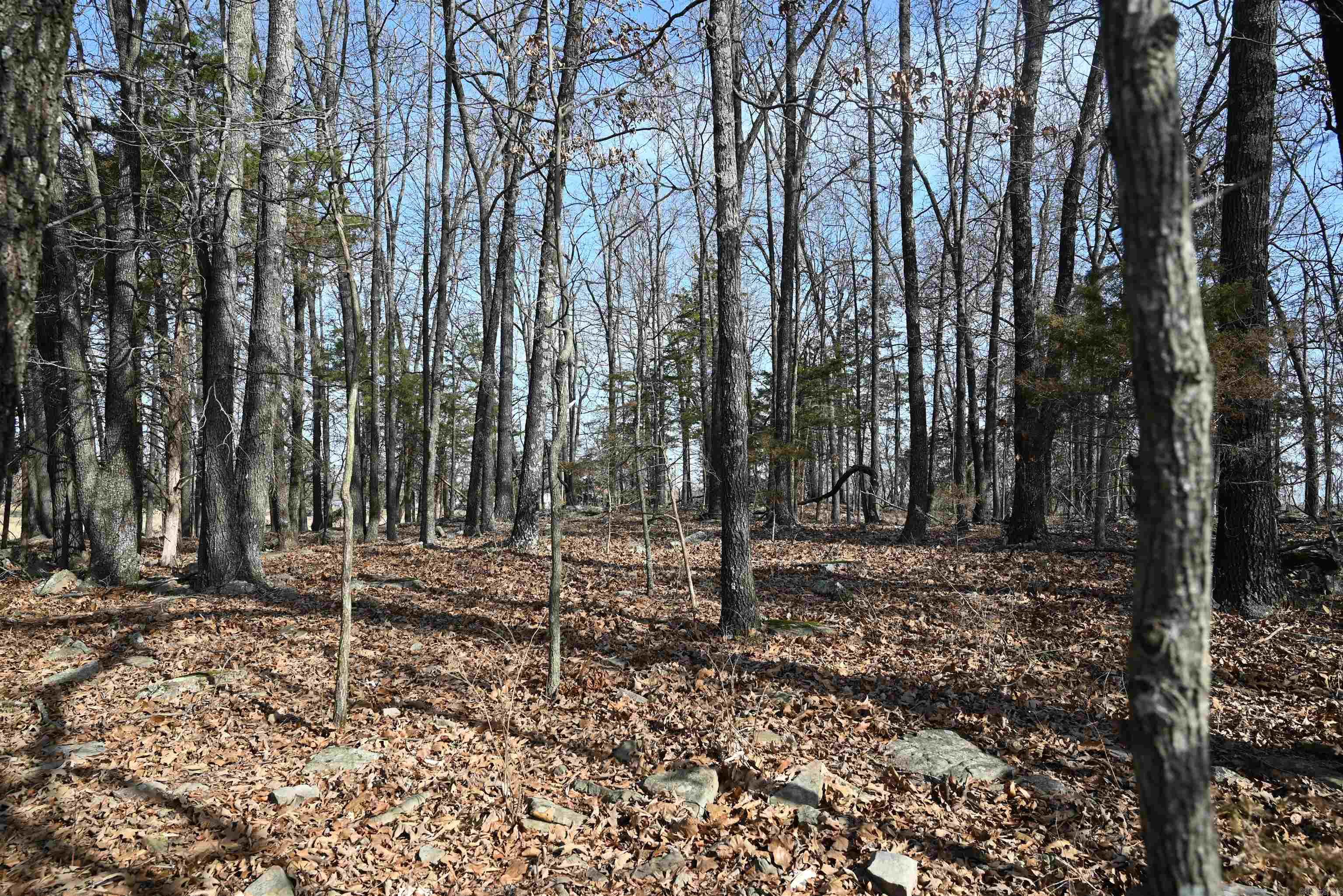 1600 Eclipse Road Property Photo 31