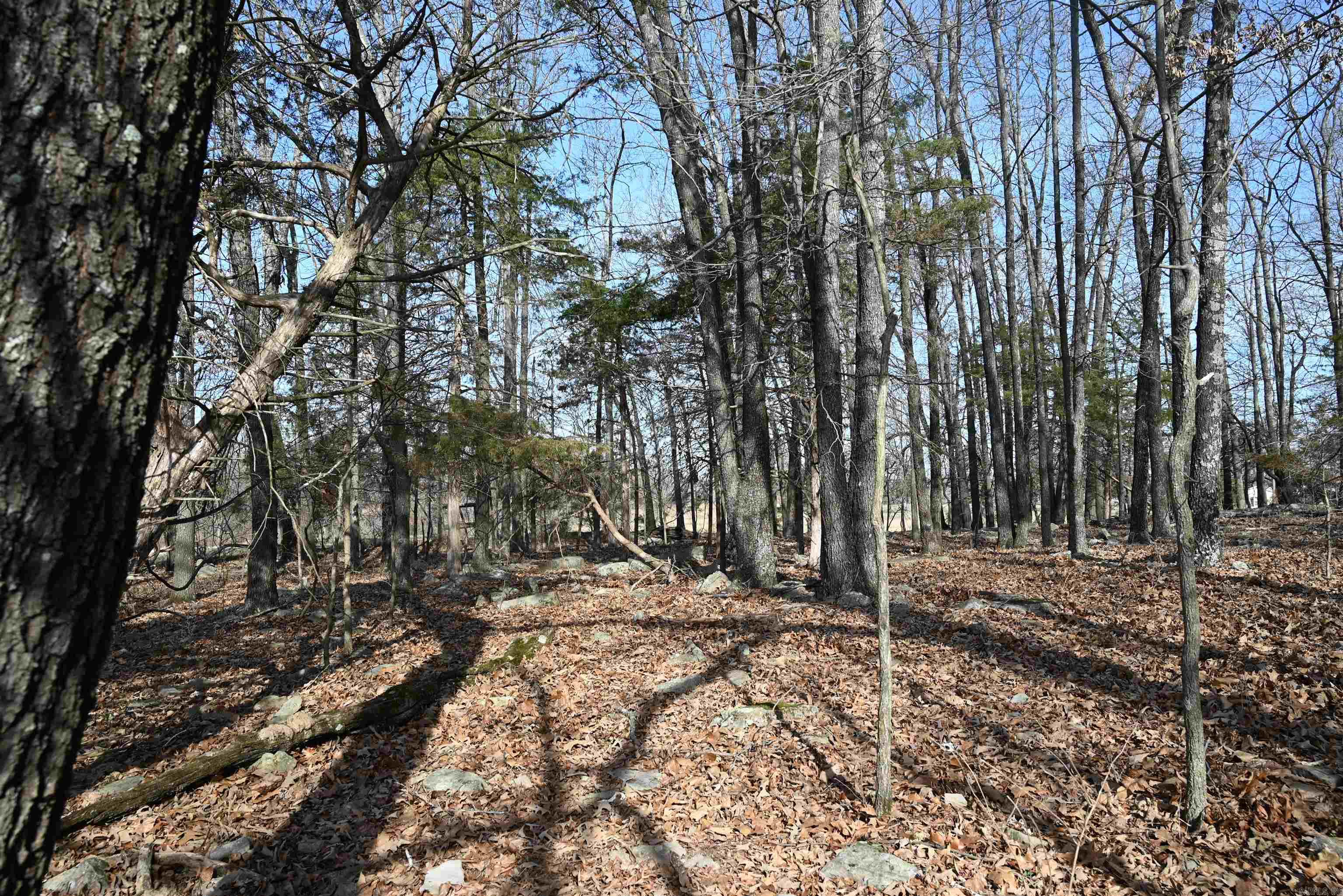 1600 Eclipse Road Property Photo 32