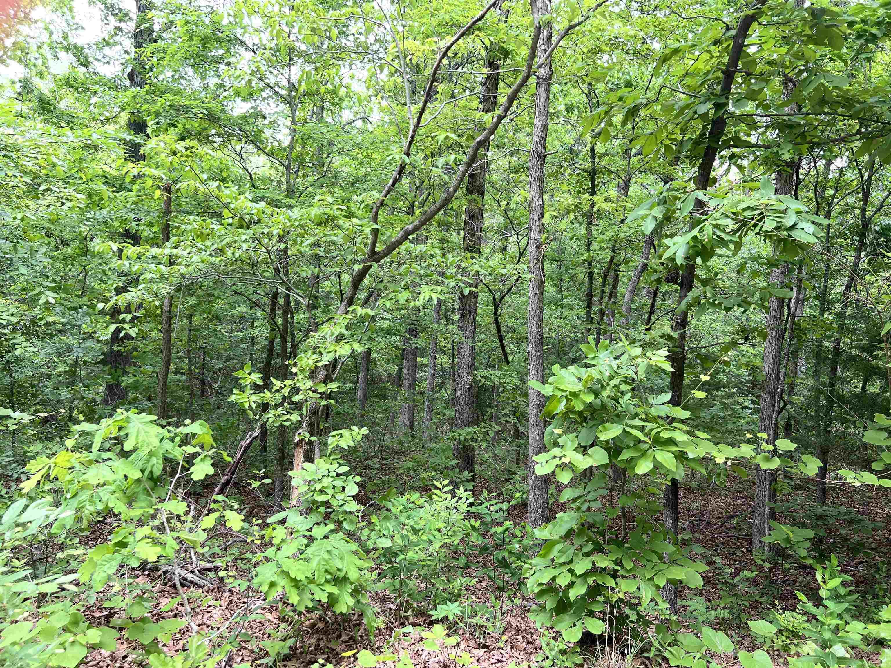 Lot 7 Tall Oaks Trail Property Photo 4