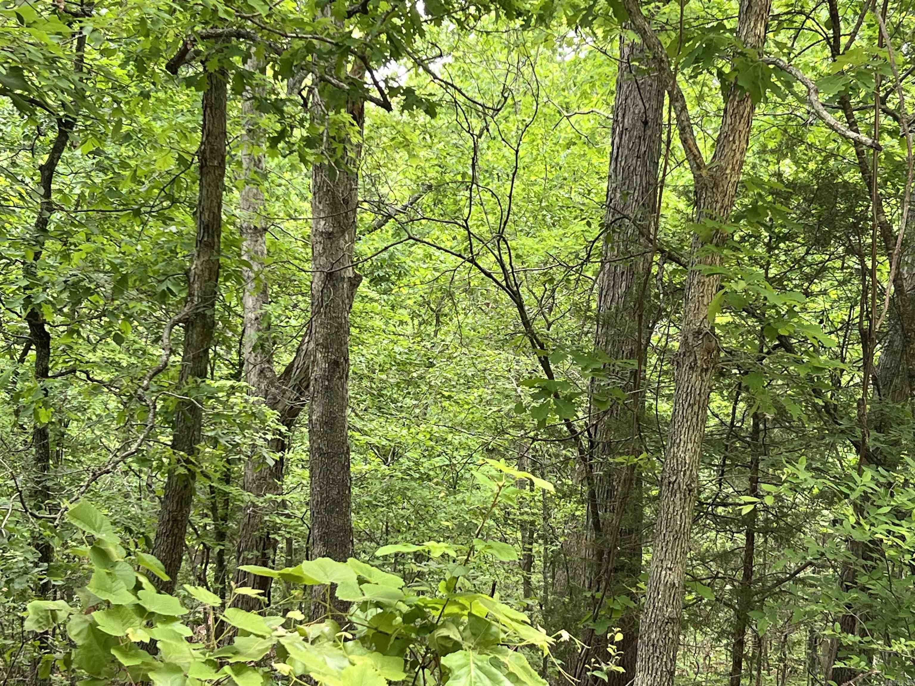 Lot 7 Tall Oaks Trail Property Photo 6