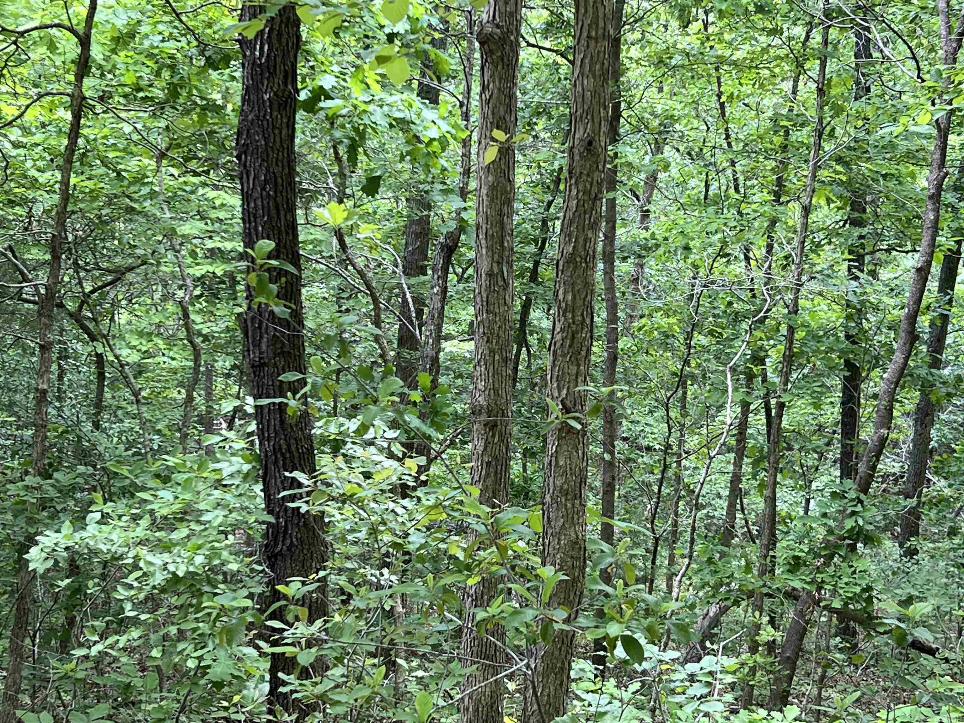 Lot 7 Tall Oaks Trail Property Photo 7