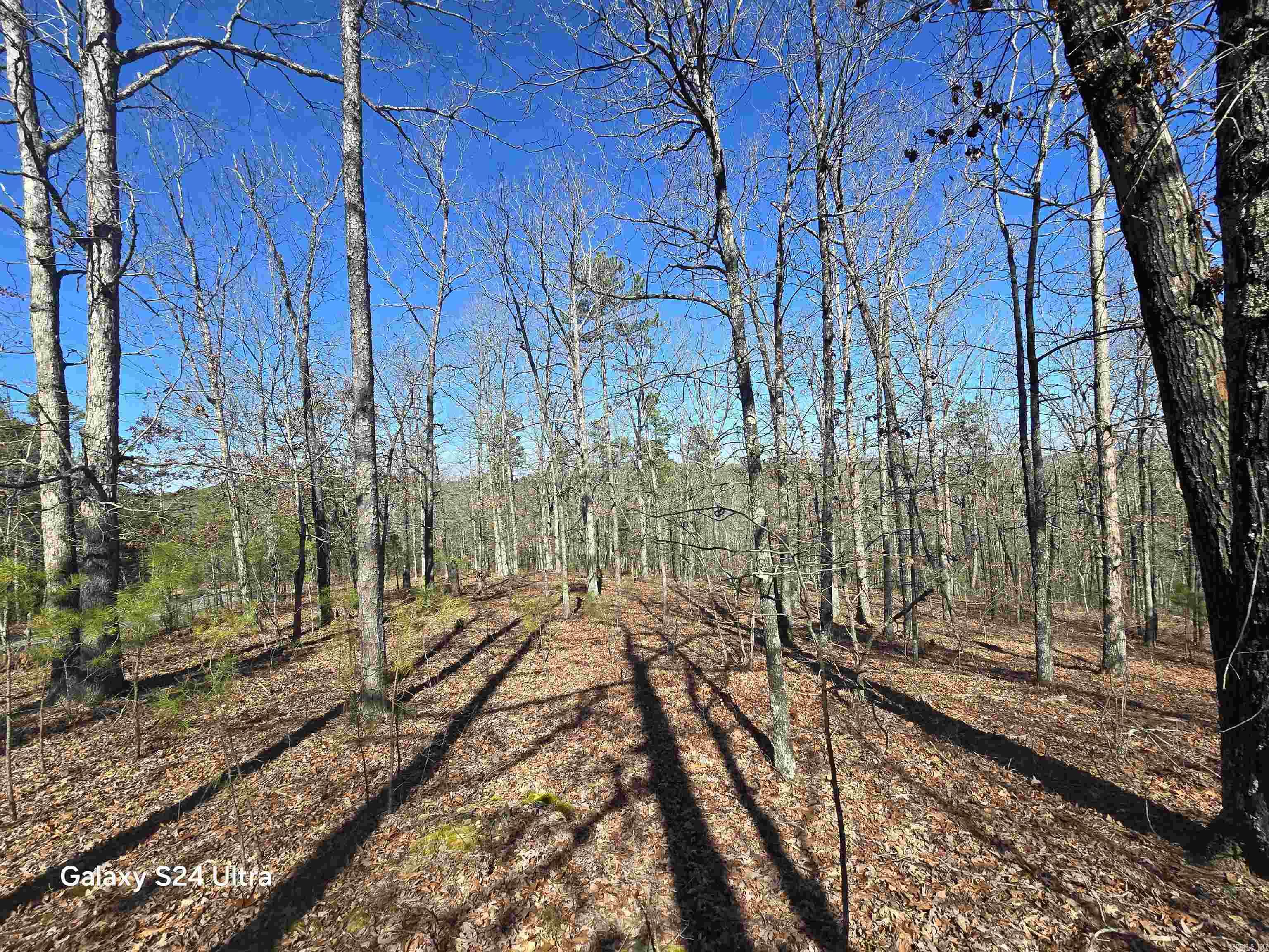 0 Woodlawn Property Photo 2