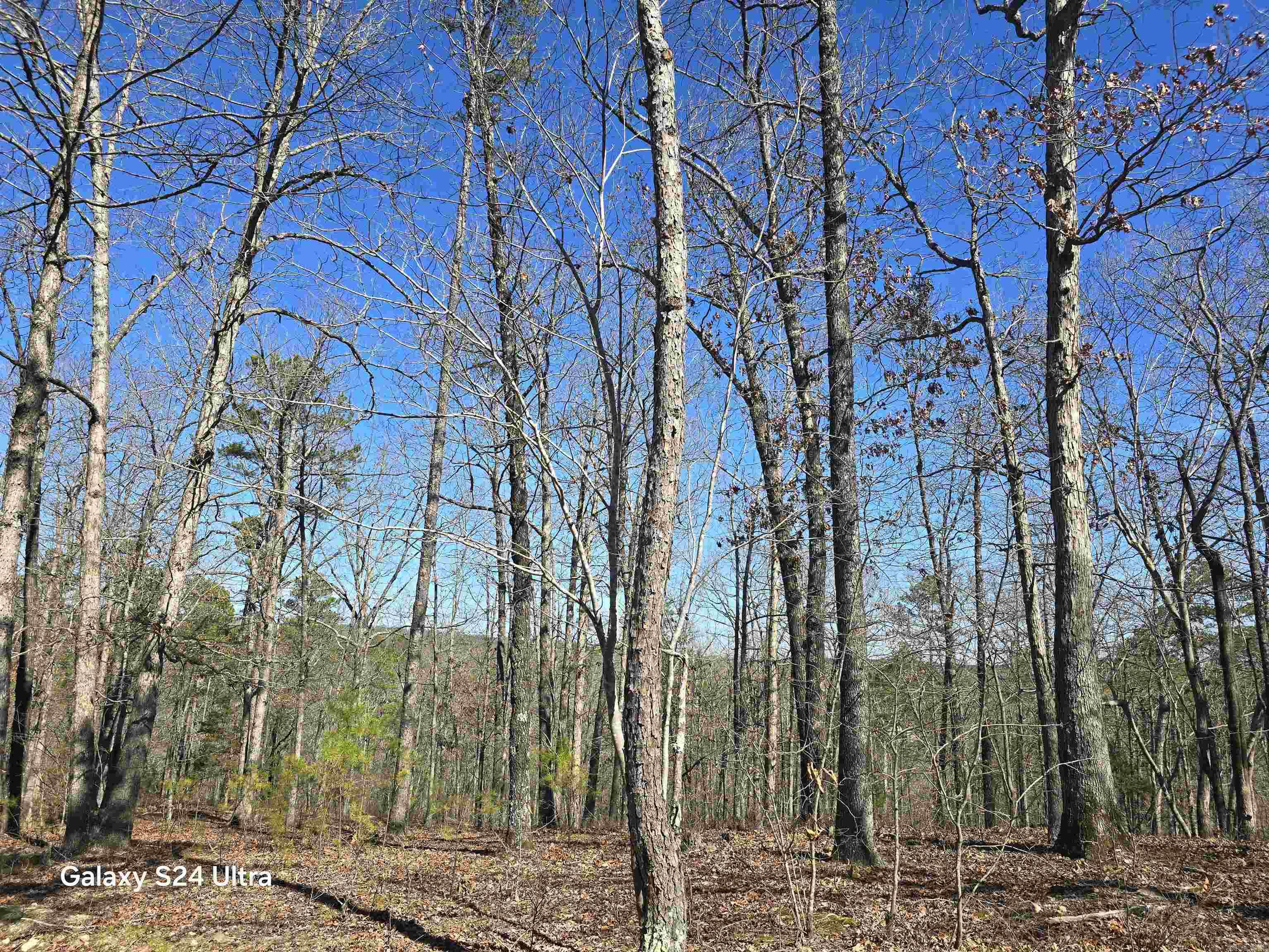 0 Woodlawn Property Photo 5