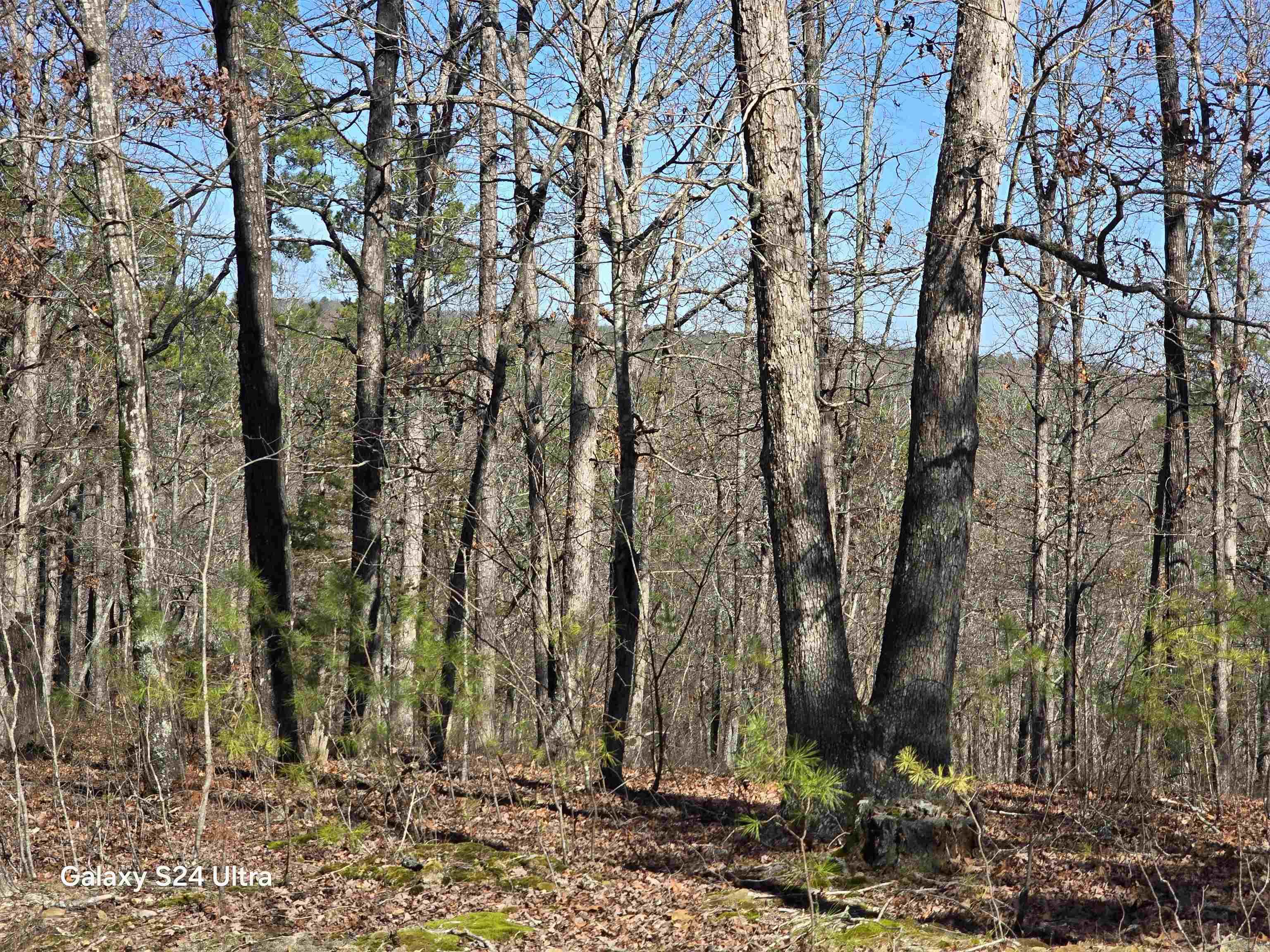 0 Woodlawn Property Photo 6
