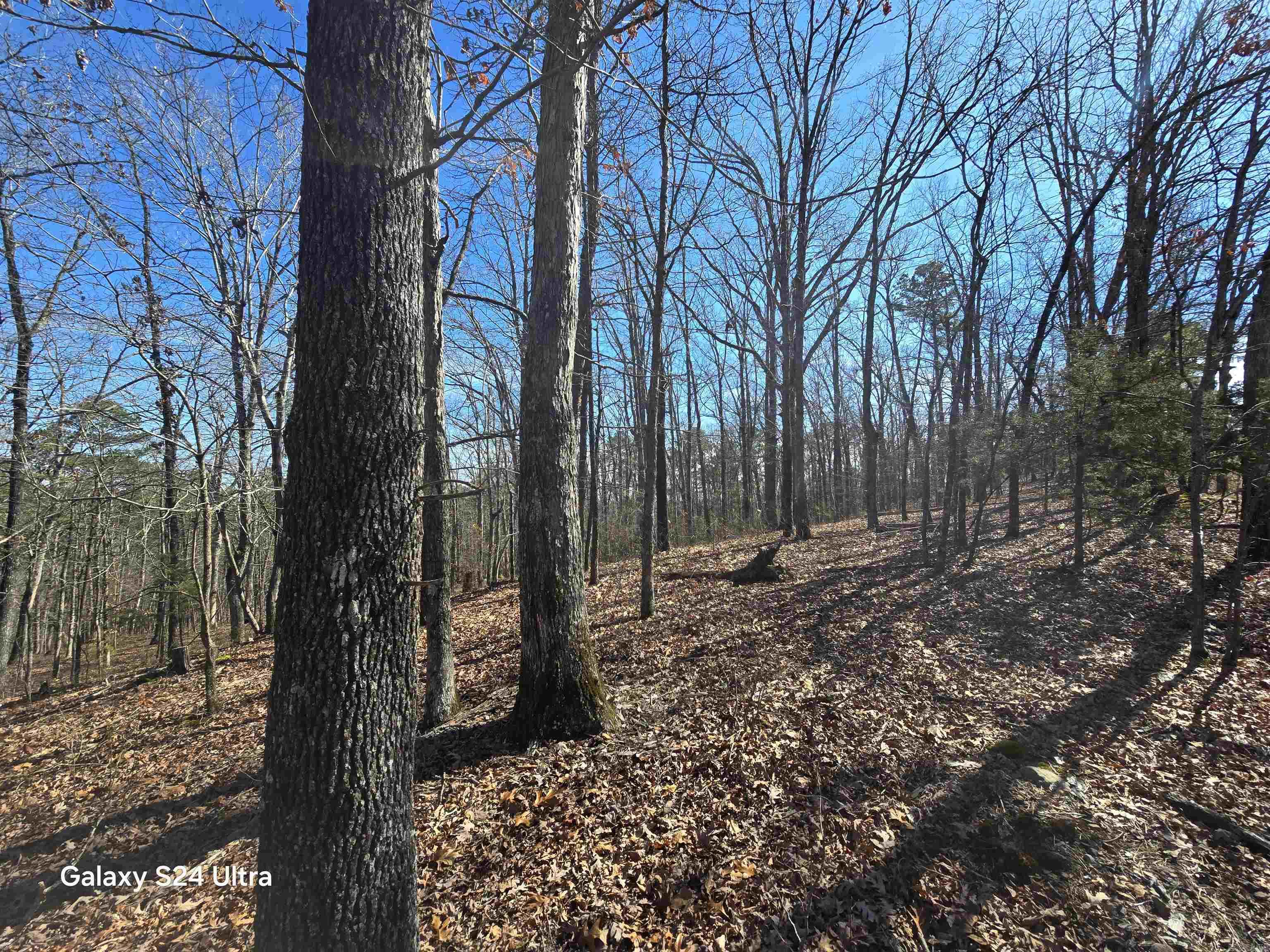 0 Woodlawn Property Photo 7