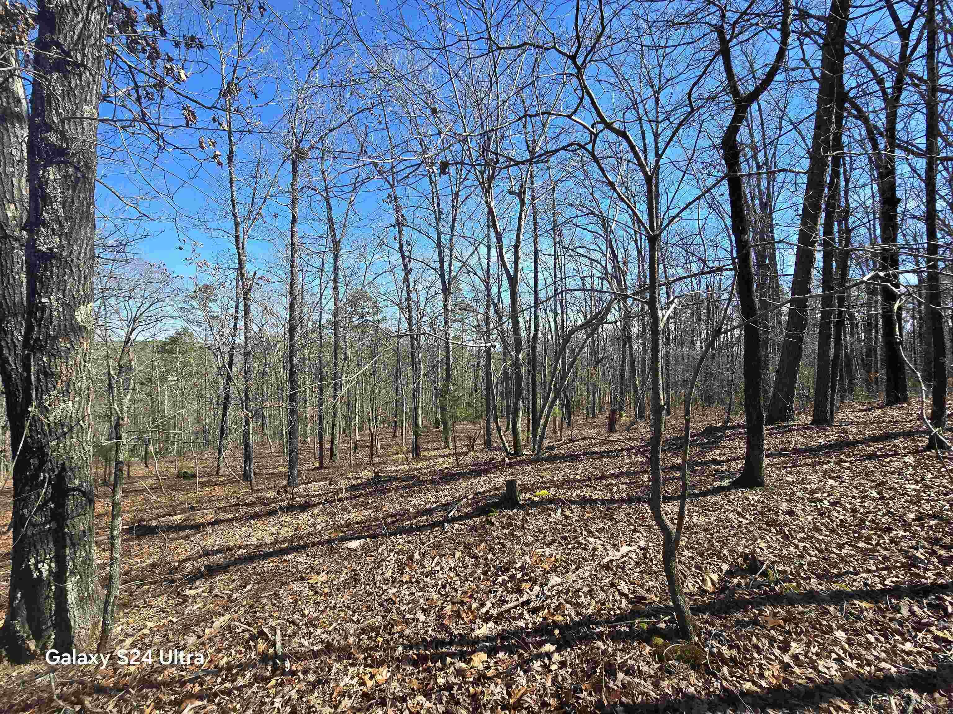 0 Woodlawn Property Photo 8