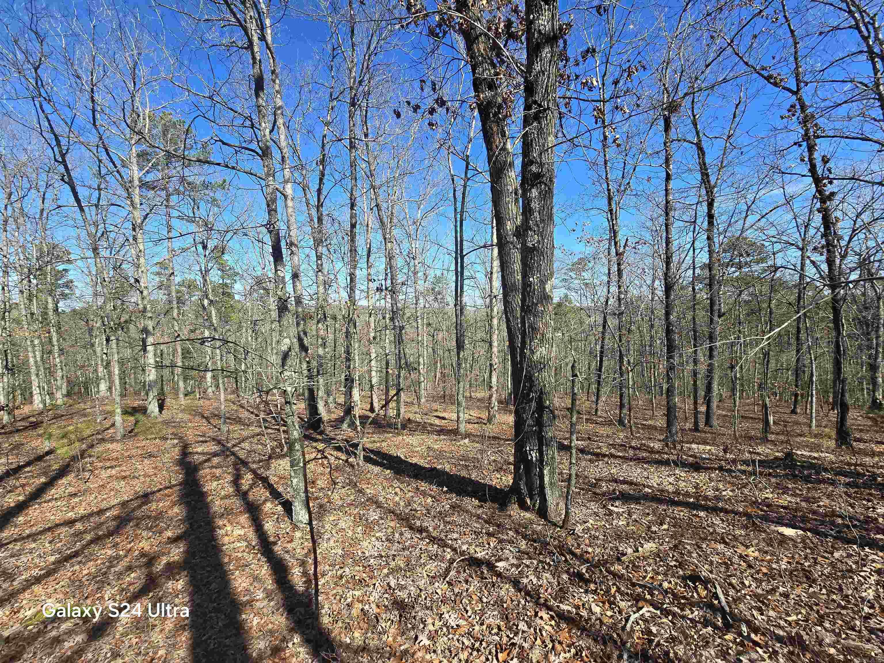 0 Woodlawn Property Photo 9
