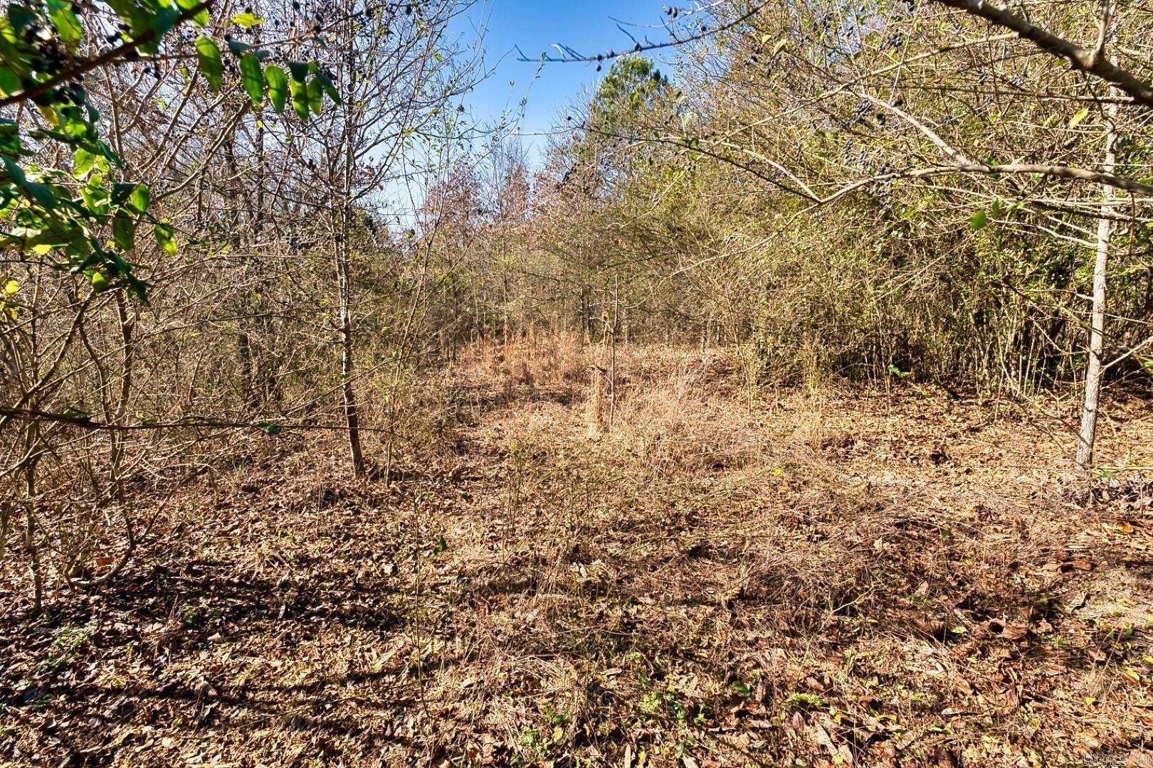 2600 Block Park Avenue, Lot 2l Property Photo 11