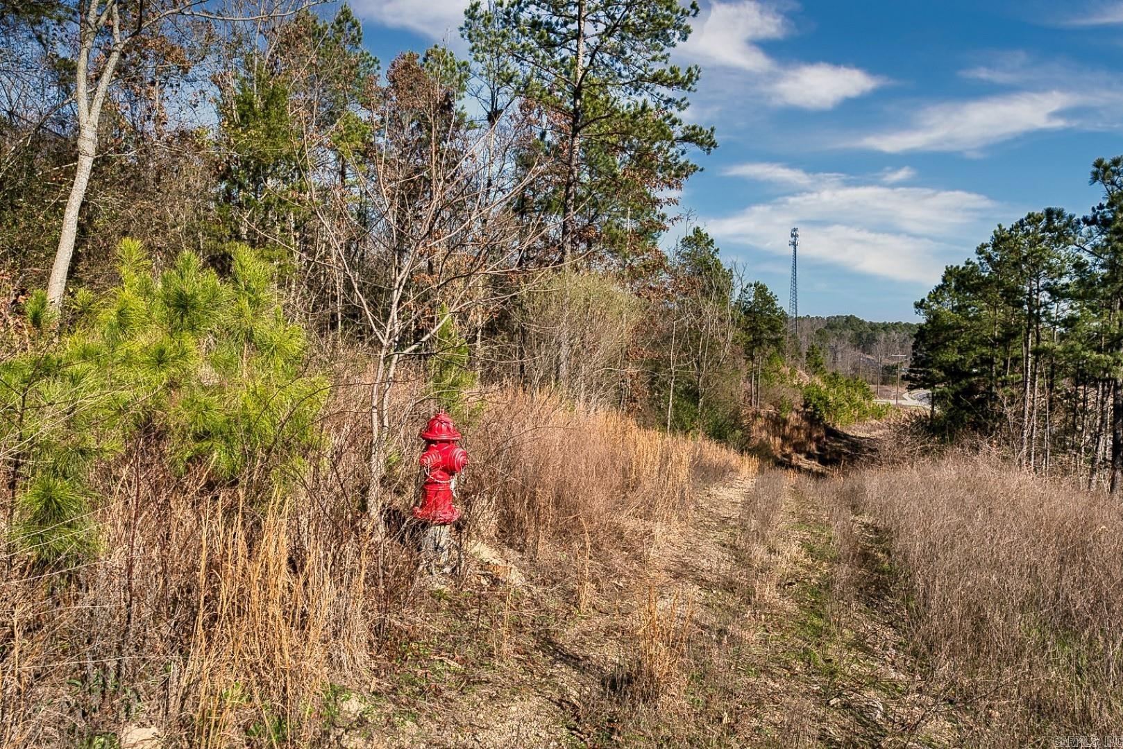 2600 Block Park Avenue, Lot 2l Property Photo 13