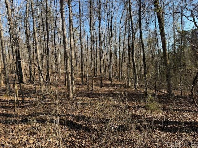 0 Silex Road Property Photo 7