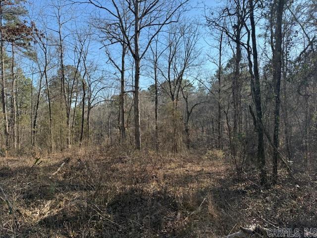 0 Silex Road Property Photo 8