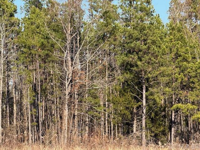 0 Silex Road Property Photo 10