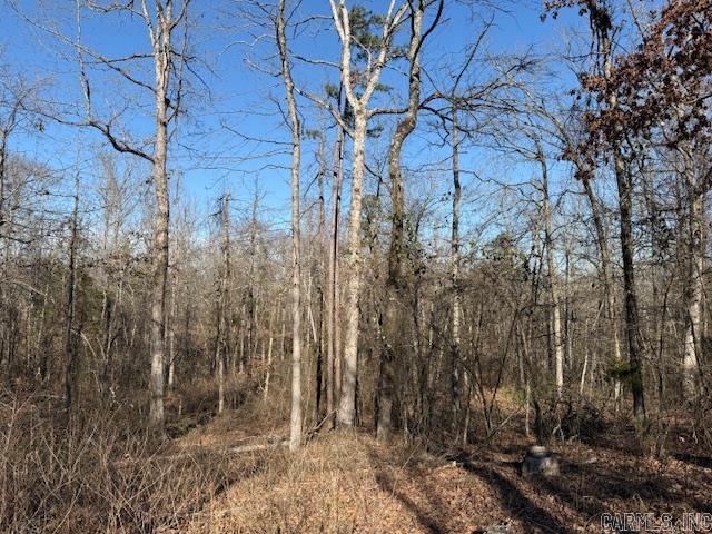 0 Silex Road Property Photo 11