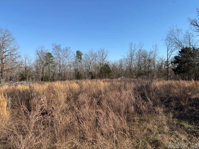 0 Silex Road Property Photo 12