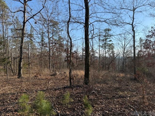 0 Silex Road Property Photo 13
