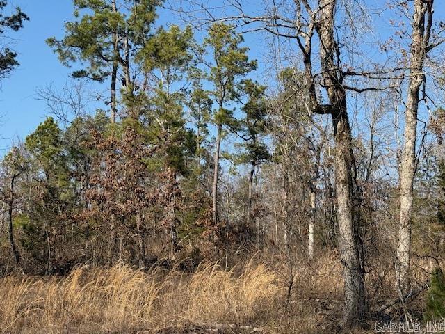 0 Silex Road Property Photo 14