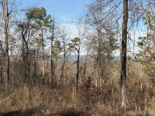 0 Silex Road Property Photo 15