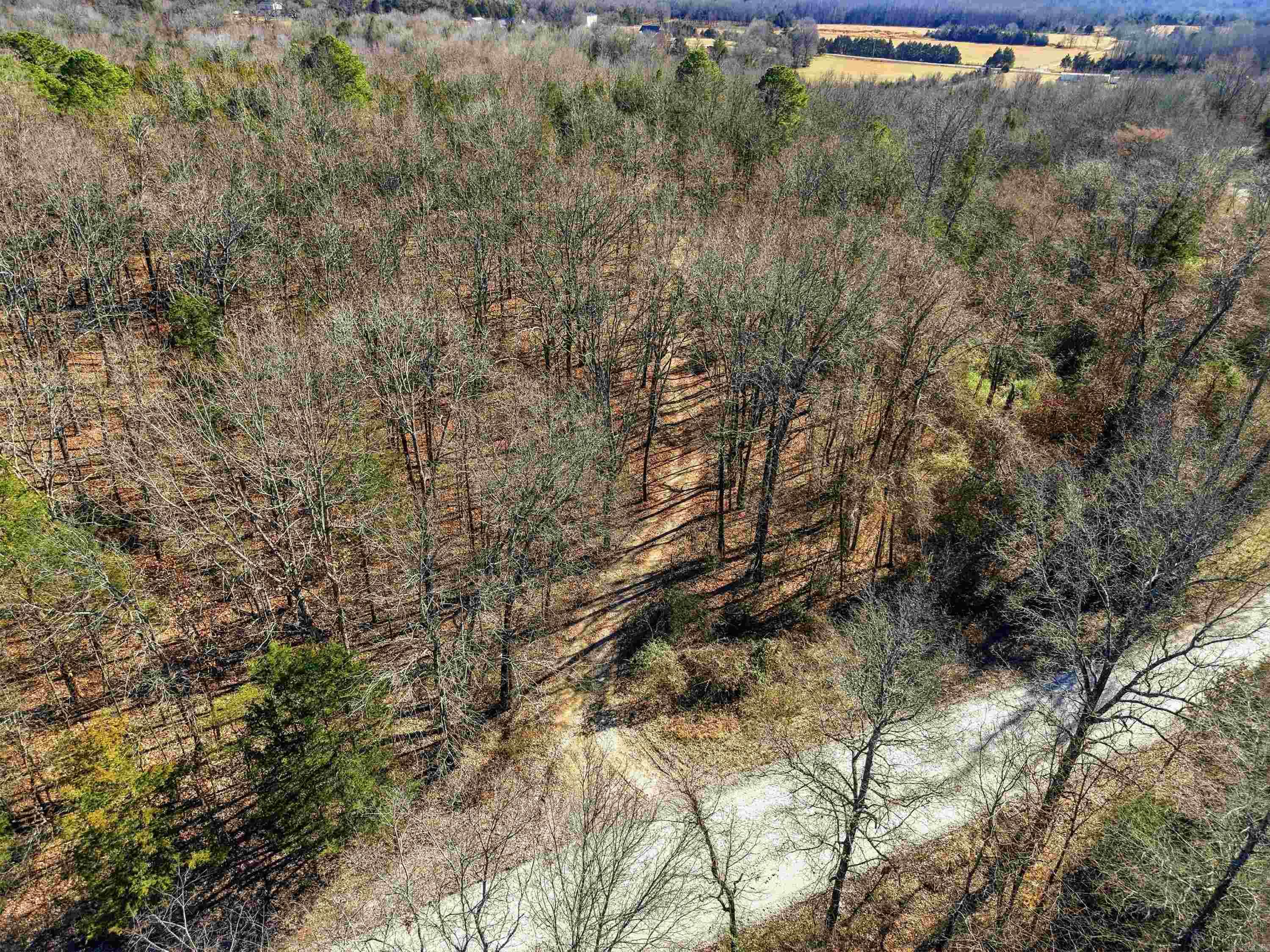 00 Manning Road Property Photo 4