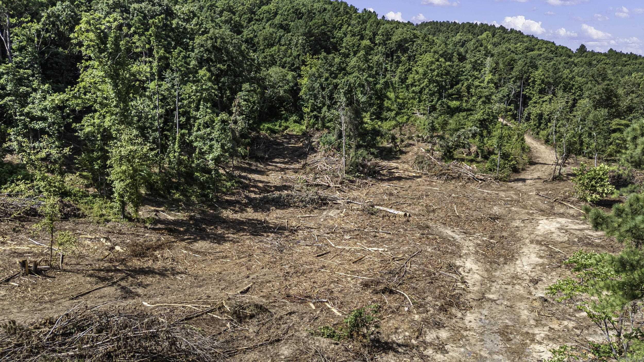 34 Acres Off Sr 164 W Property Photo 4