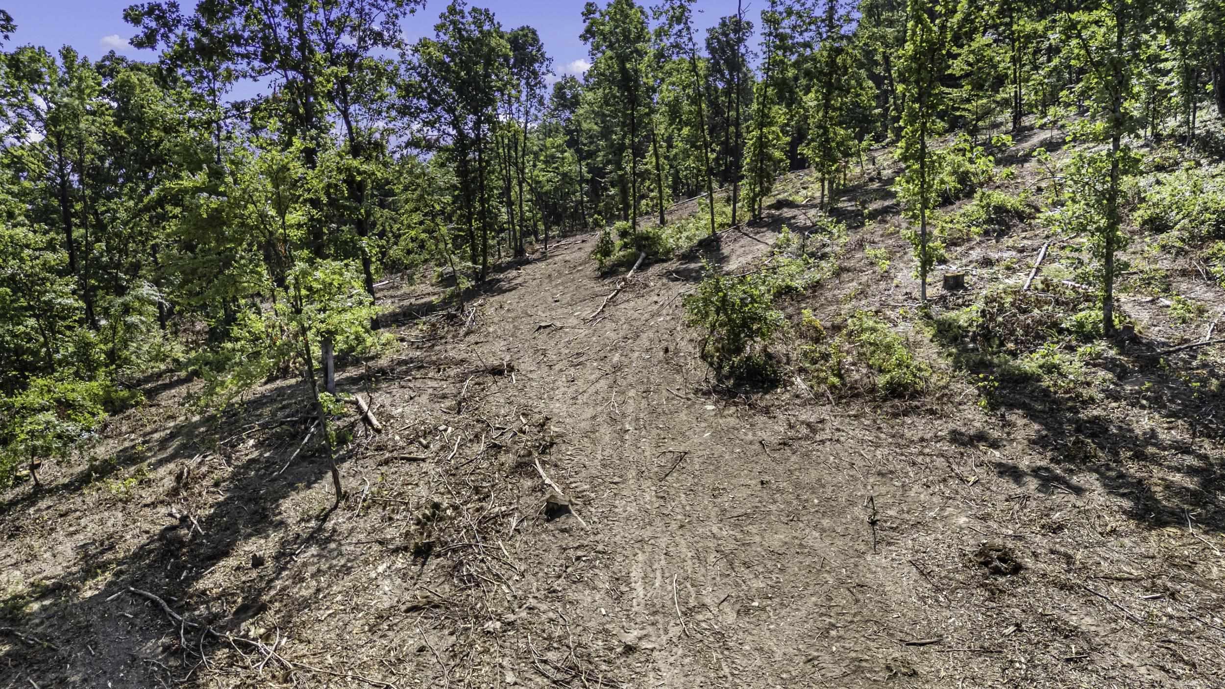 34 Acres Off Sr 164 W Property Photo 5