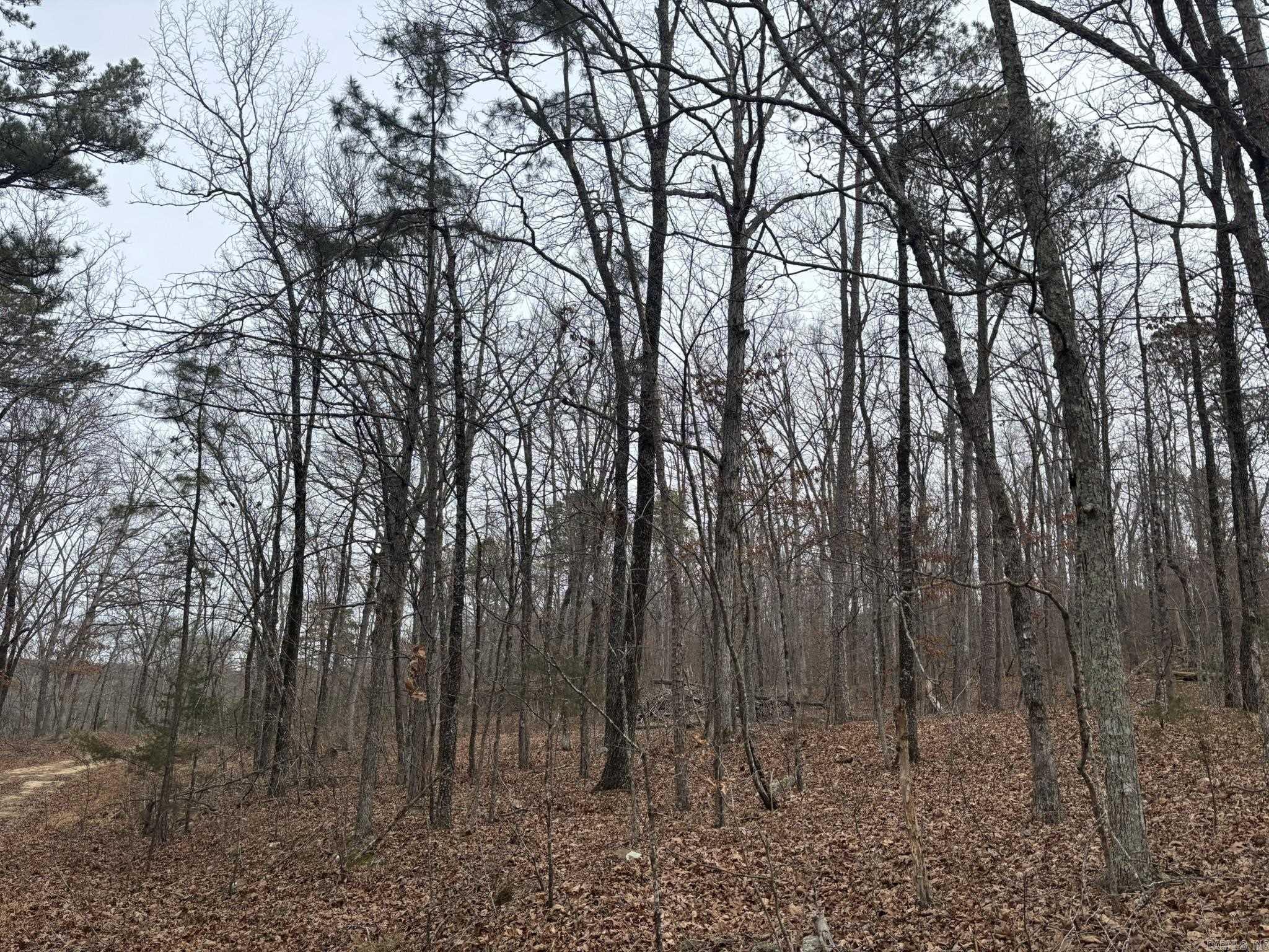 000 Edge Road Property Photo 1